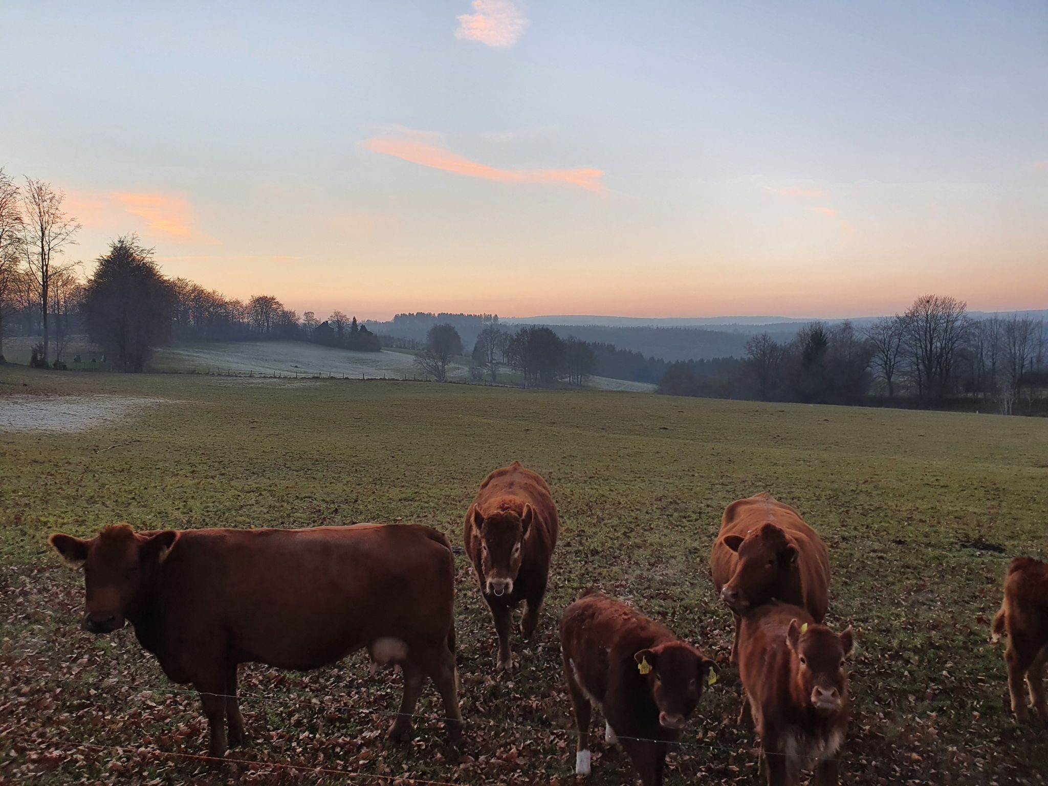 Eifel Oase-Image-tags.info