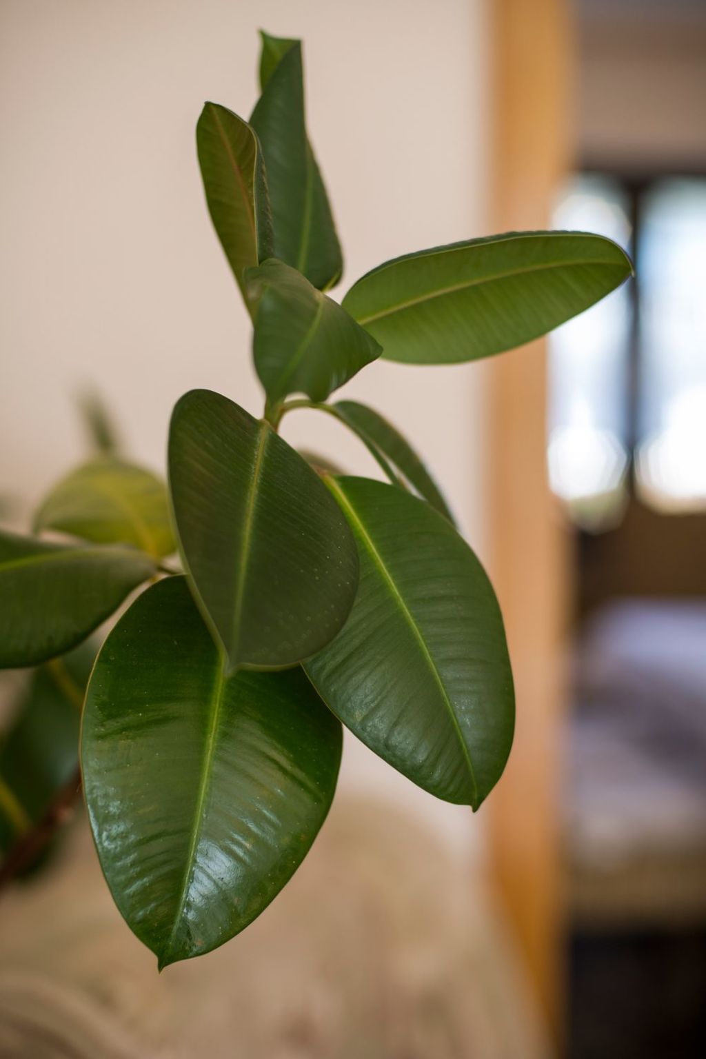 Gemütliches Ferienhaus in Hasenfeld mit Großem Garten-Binnen
