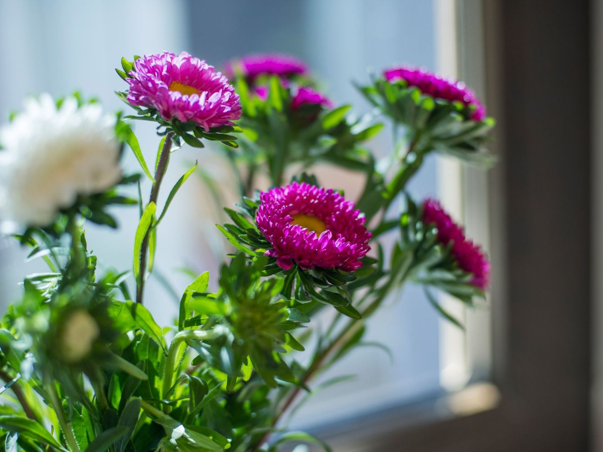 Gemütliches Ferienhaus in Hasenfeld mit Großem Garten-Binnen