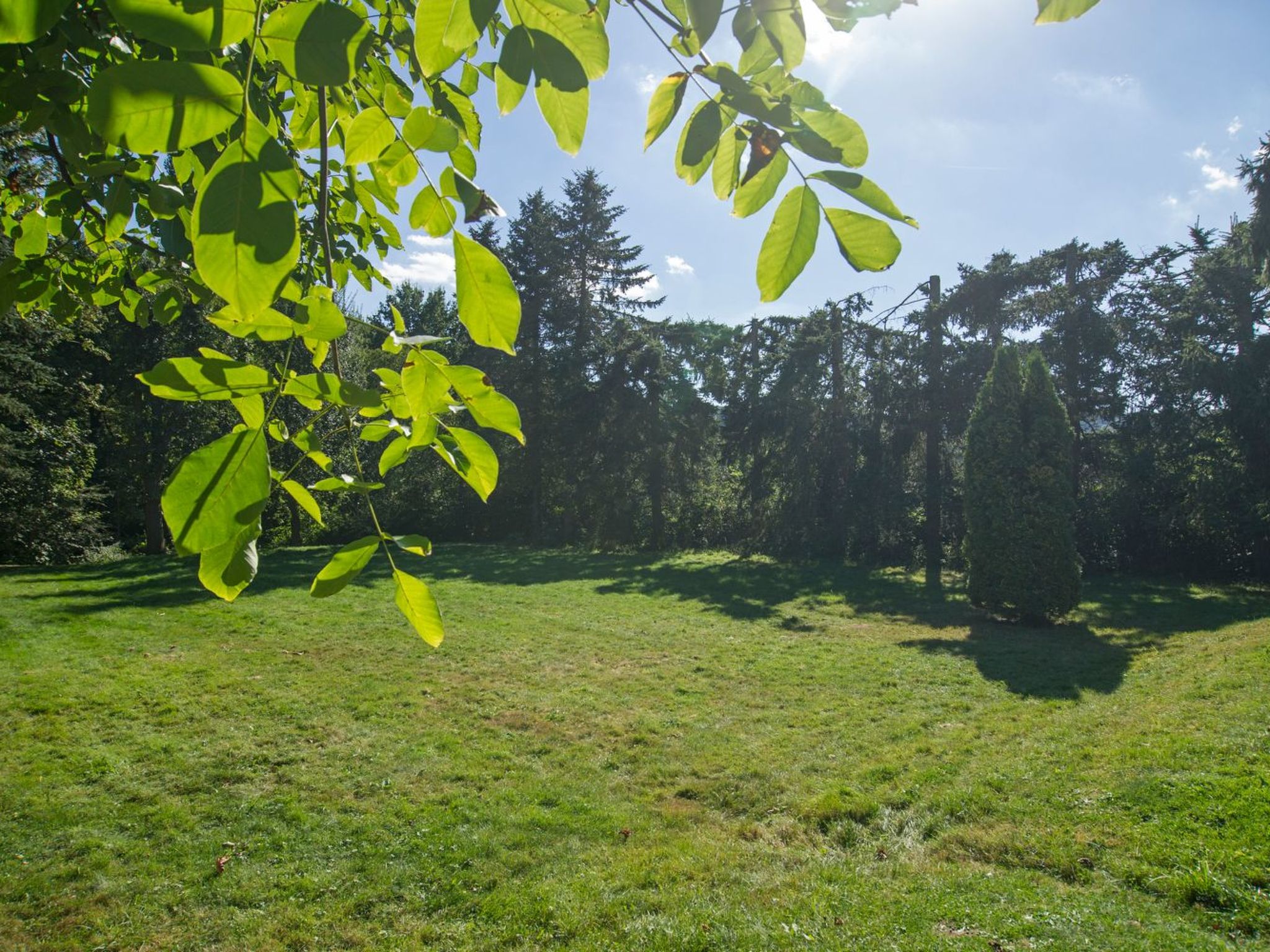 Gemütliches Ferienhaus in Hasenfeld mit Großem Garten-Binnen