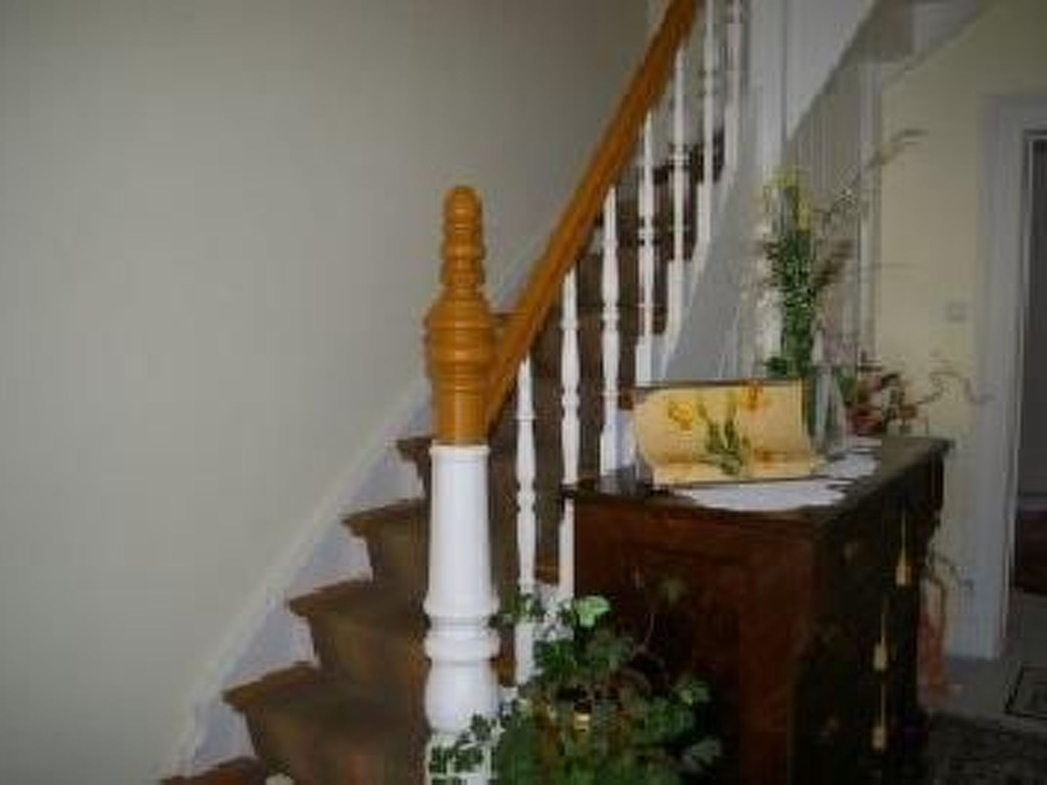 Kinderfreundliche Ferienwohnung in Waldnähe