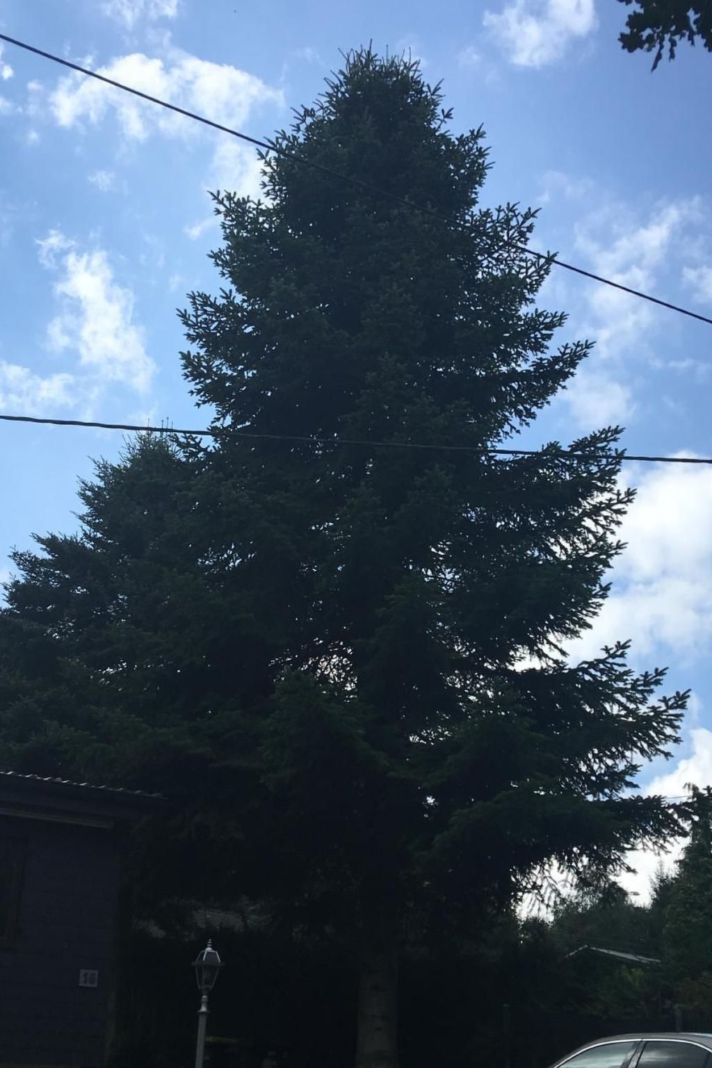 In Oberlahr mit Großem Garten-Dehors