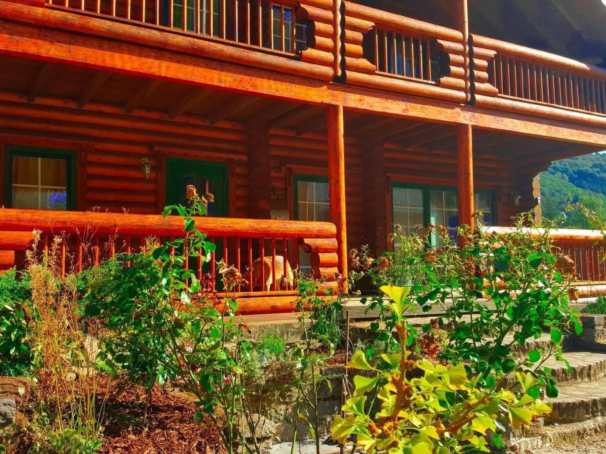 In Wiesen mit Privatem Pool-Binnen