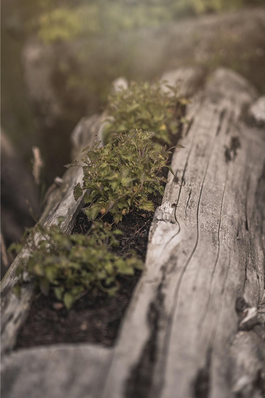 Haus für 22 Personen mit Außensauna und HotTub-Binnen