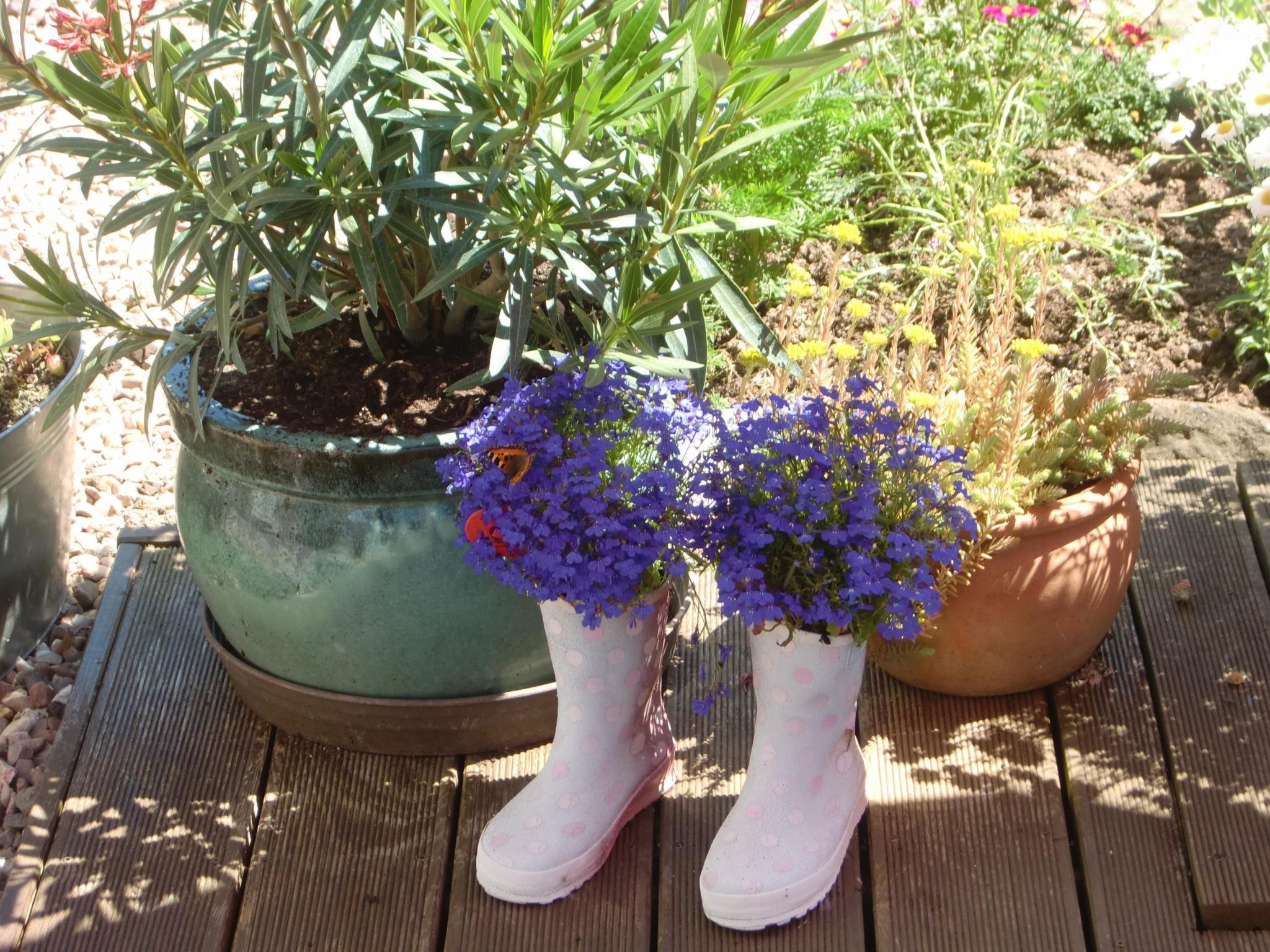 Little Stonehouse-Binnen