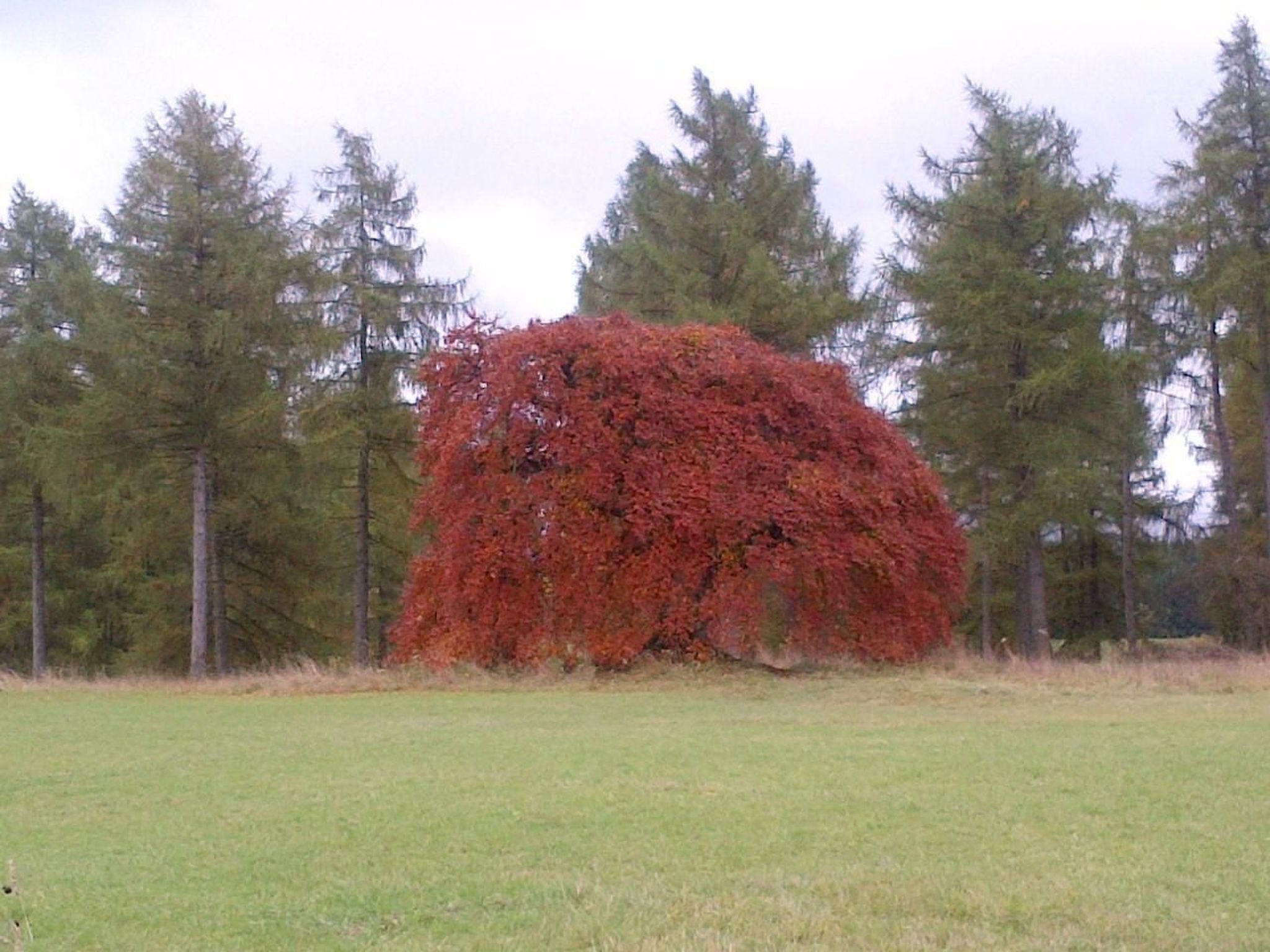 Little Stonehouse-Binnen