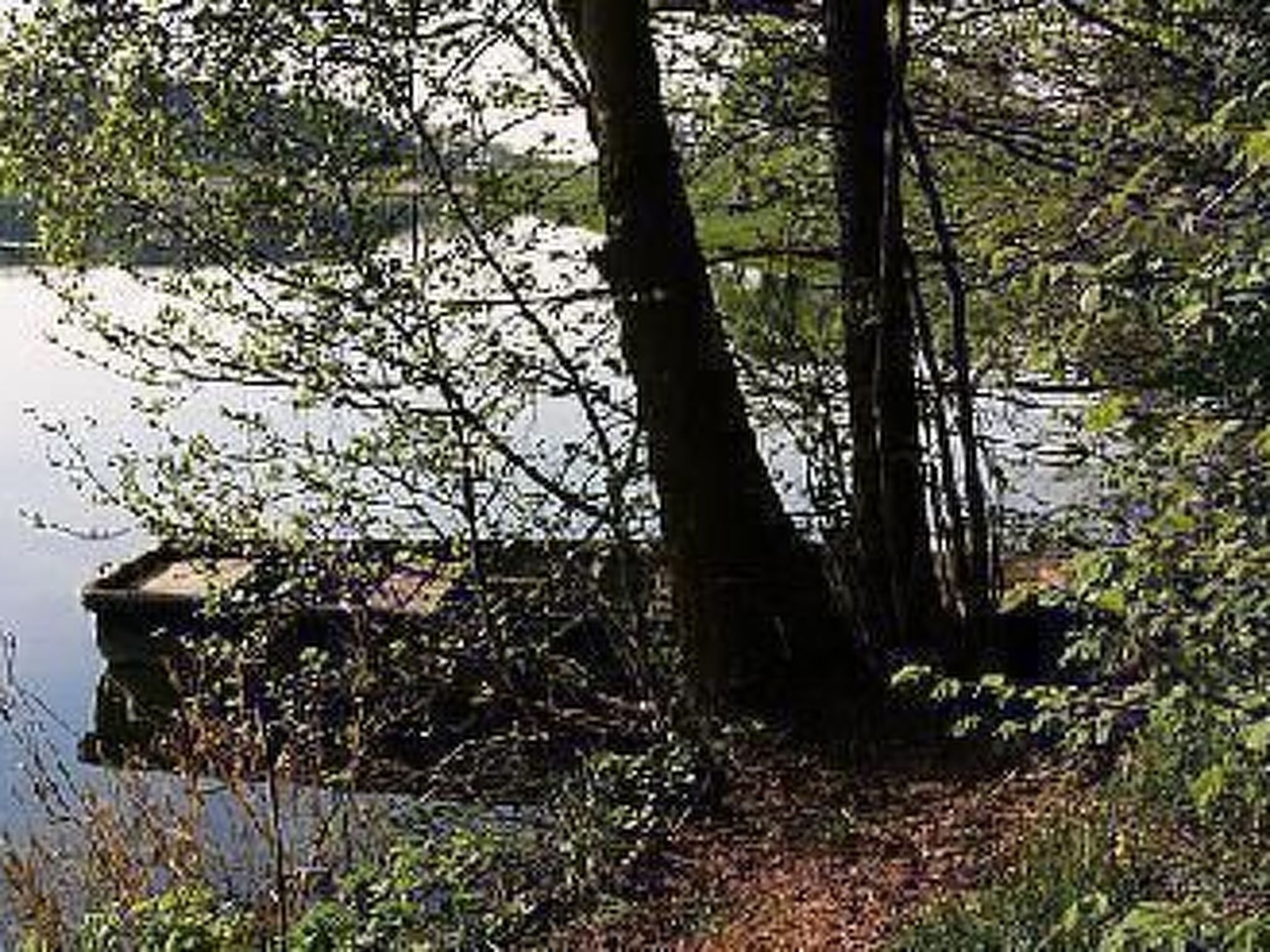 Ferien-Apartment  1-Inside