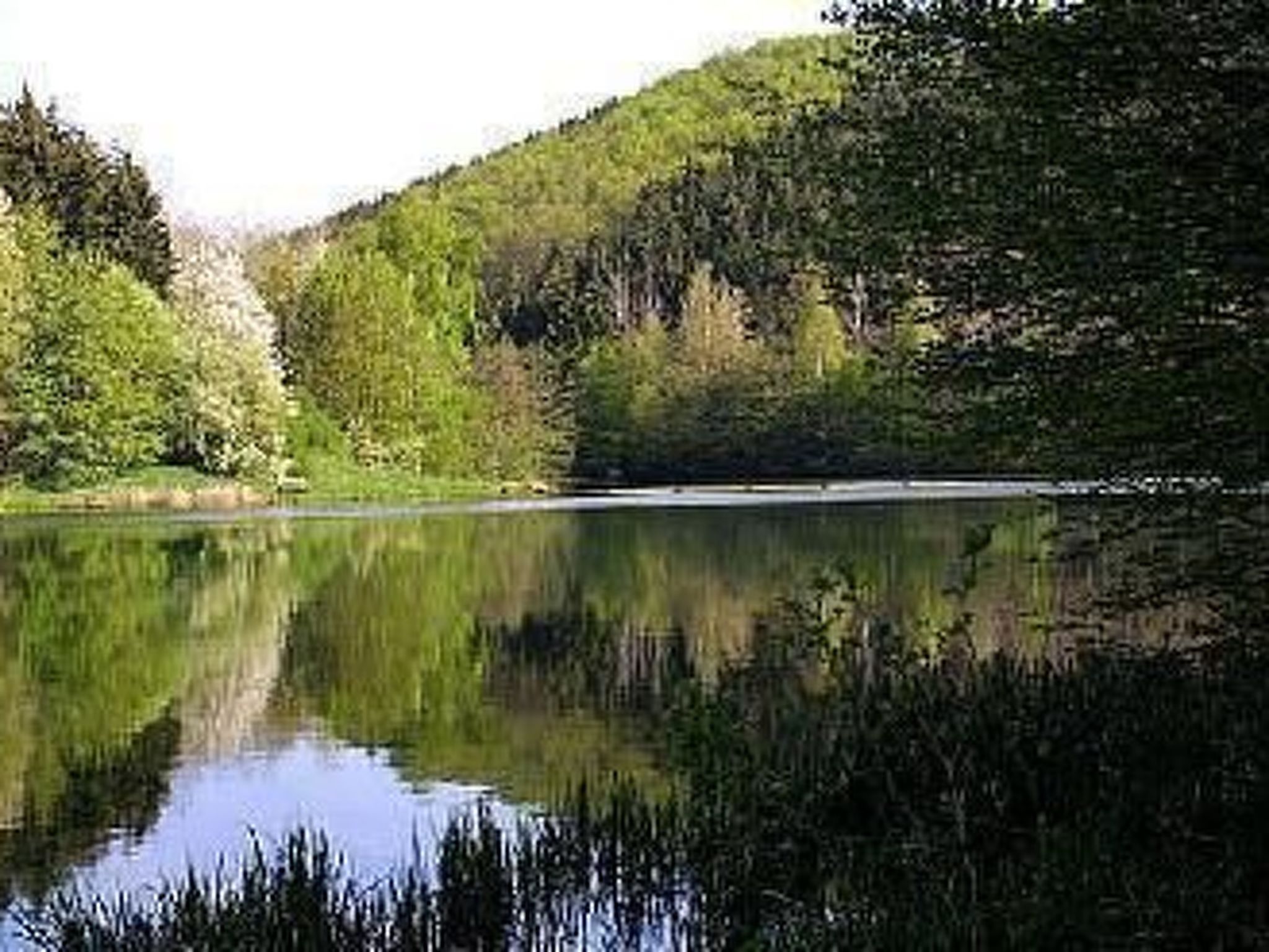 Ferien-Apartment  1-Inside