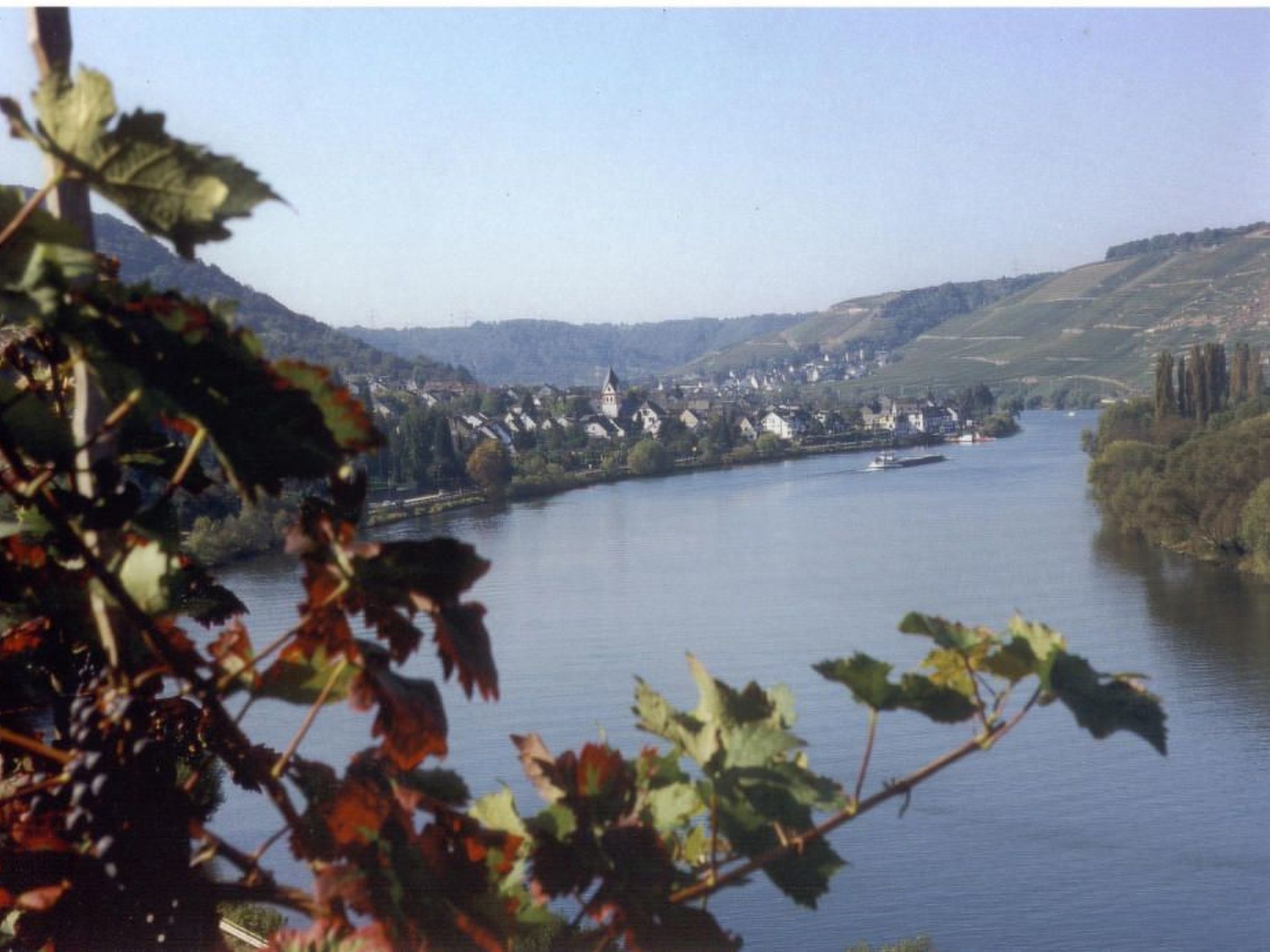 Gerä¤umige Ferienwohnung in Lay am Moselhang-Binnen