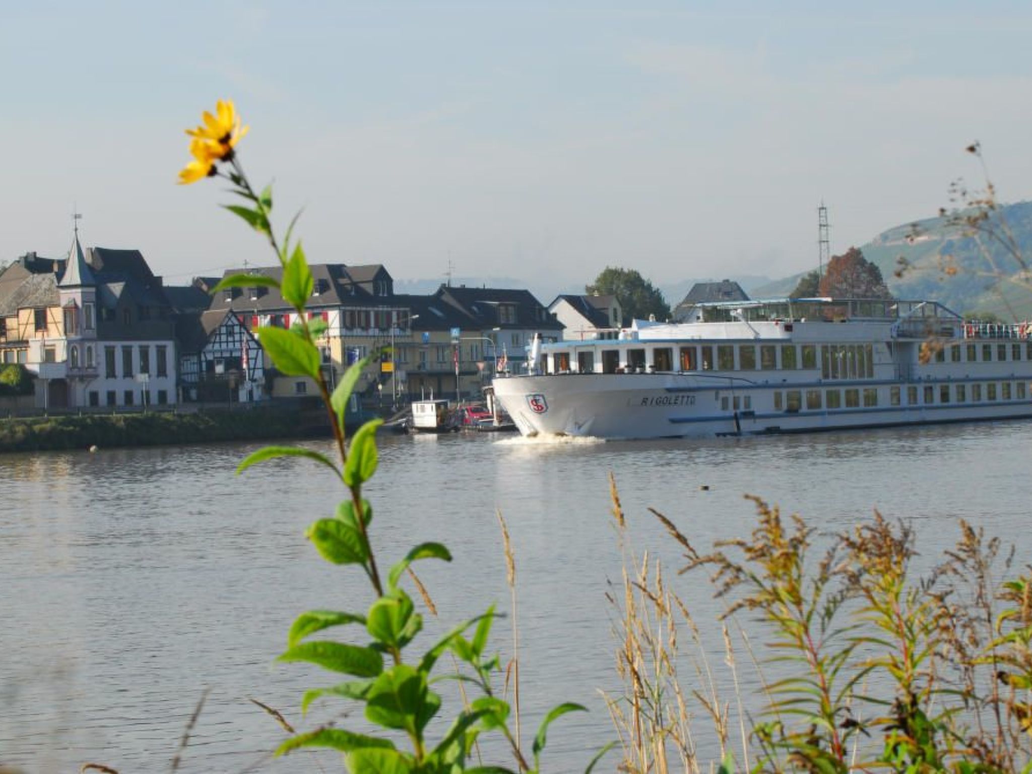 Gerä¤umige Ferienwohnung in Lay am Moselhang-Binnen