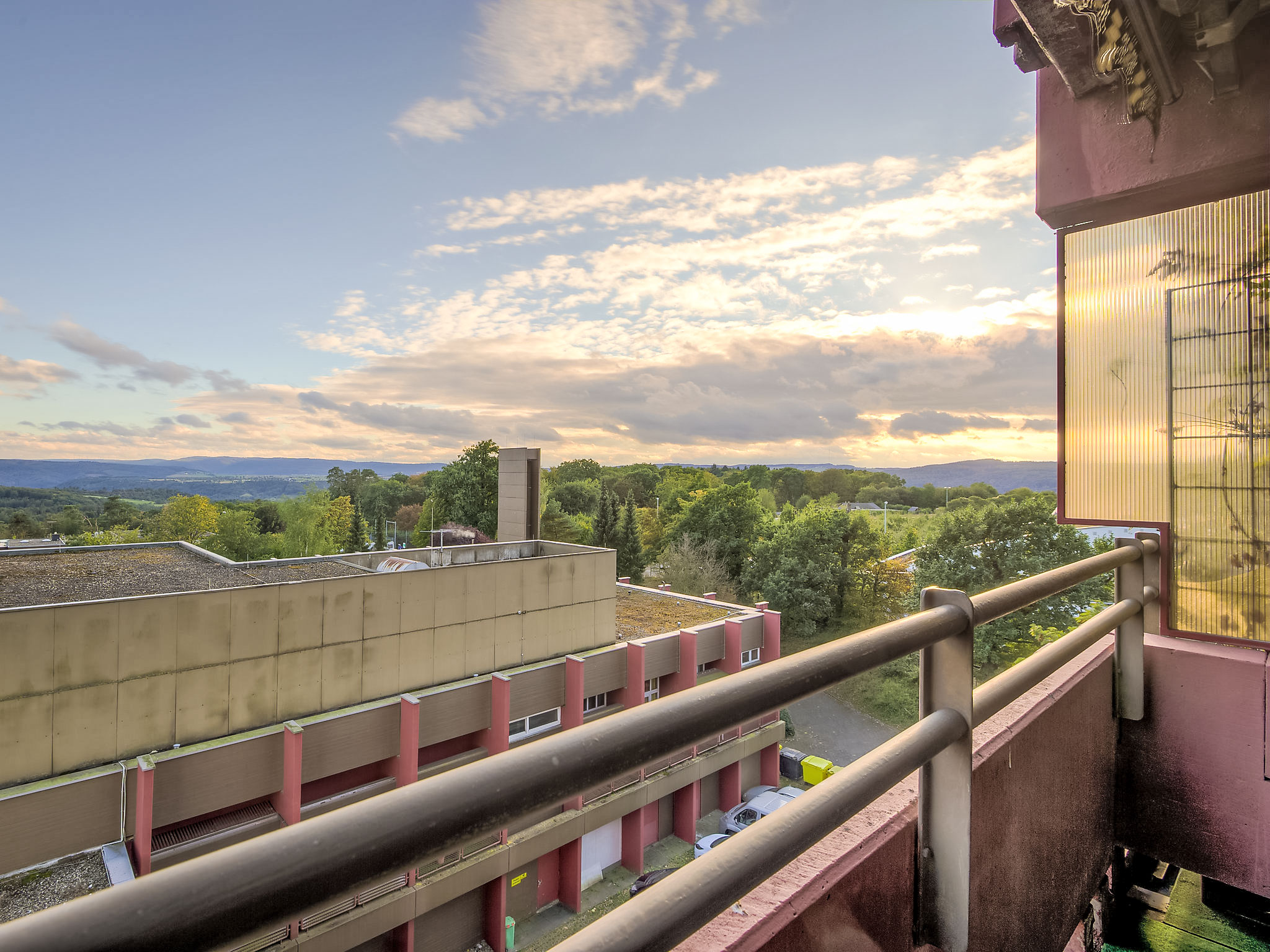 Sonnenblume (B615) — view 1 of 32