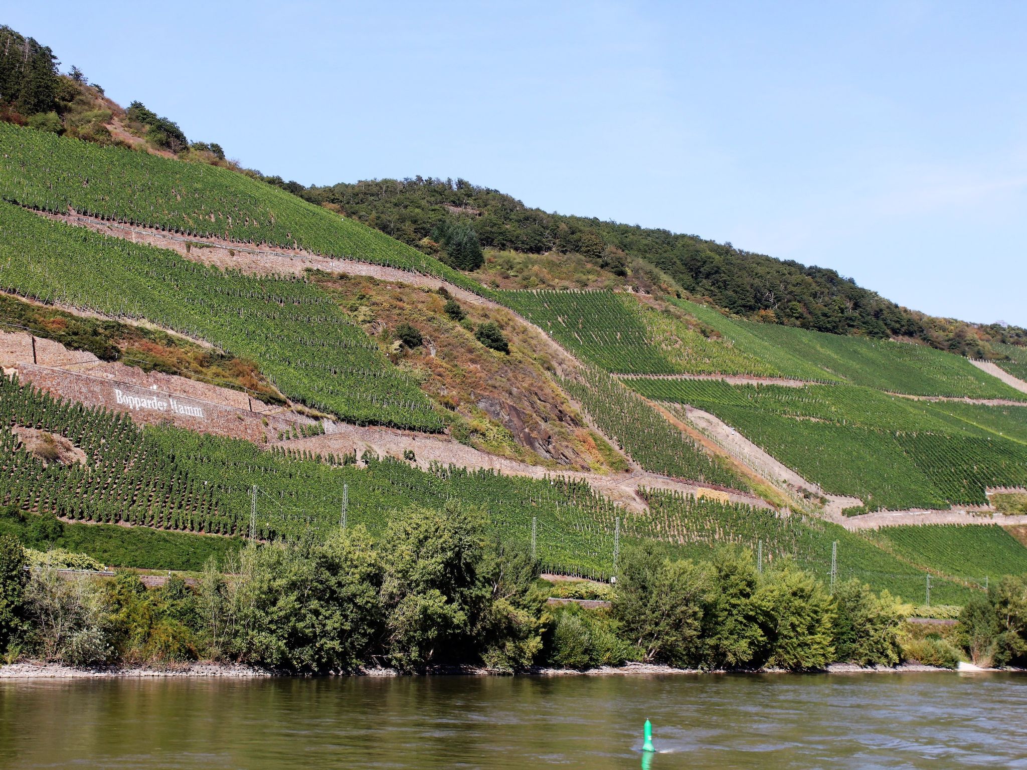 Moderne Wohnung mit Parkplatz und Rheinblick-Buiten