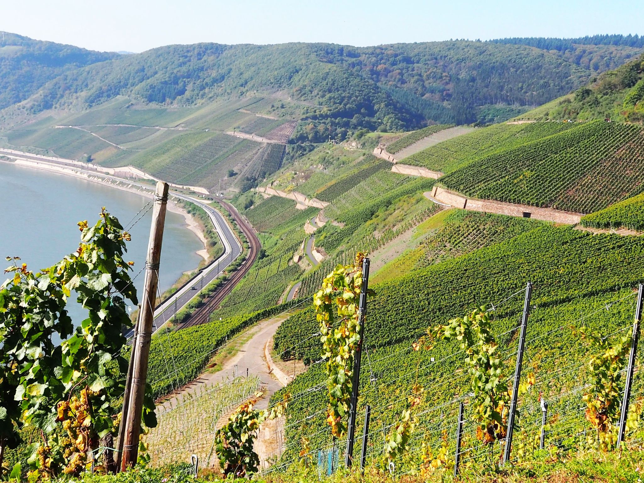 Moderne Wohnung mit Parkplatz und Rheinblick-Buiten