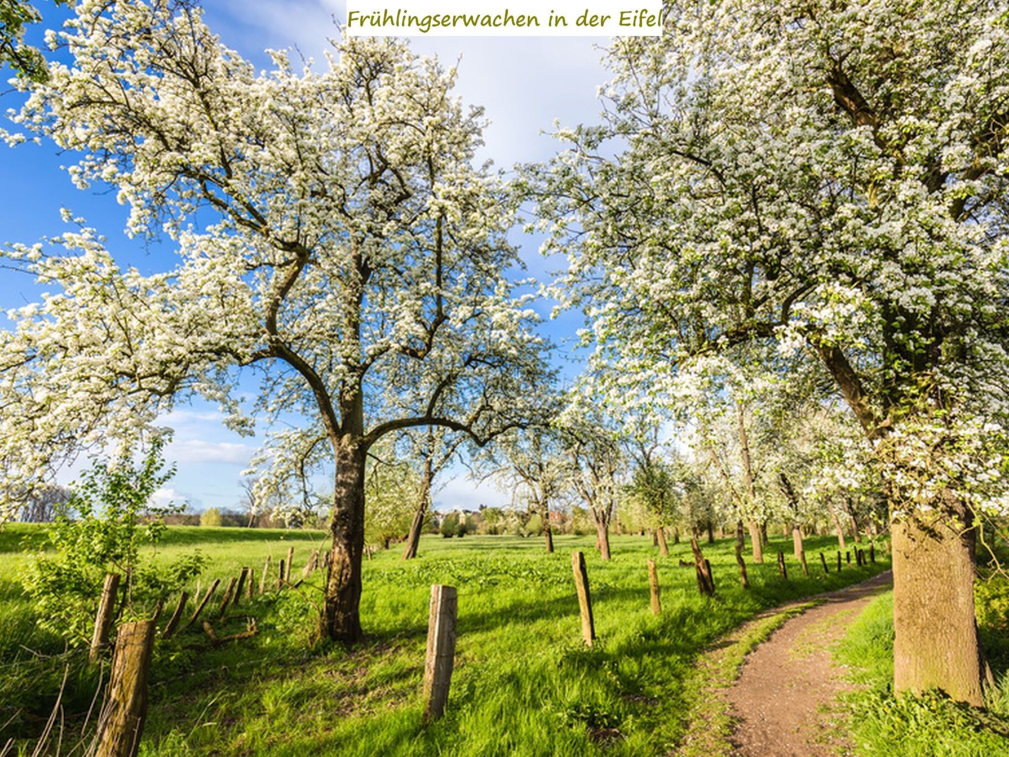 Ruhiges Landhaus mit zwei gemütlichen Wohnungen-Drinnen
