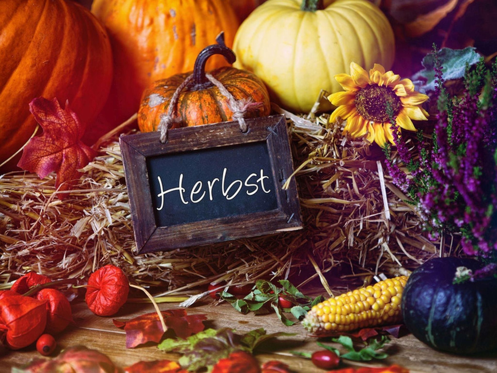 Ruhiges Landhaus mit zwei gemütlichen Wohnungen-Drinnen