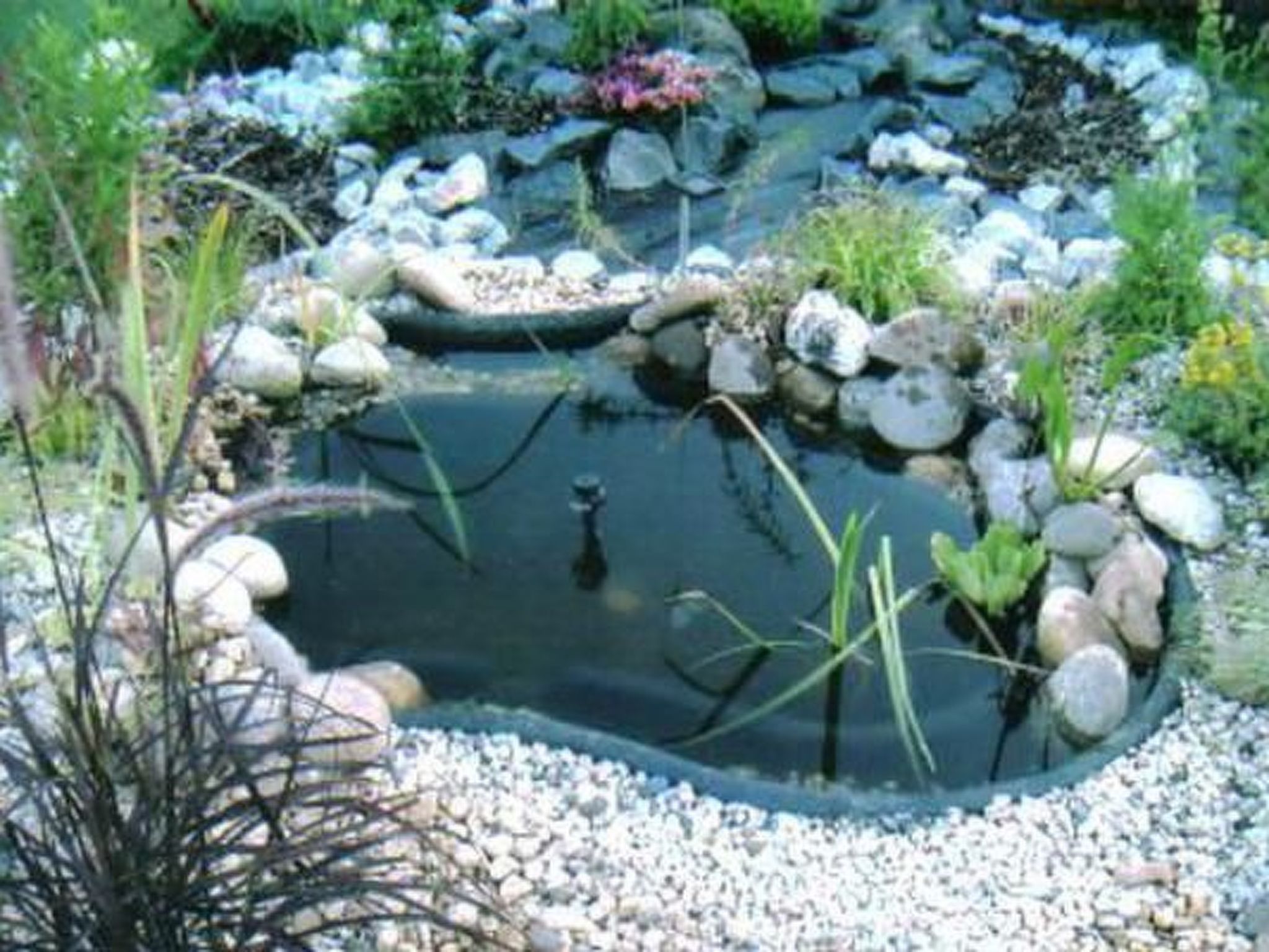 Apartment Lercher-Image-tags.info