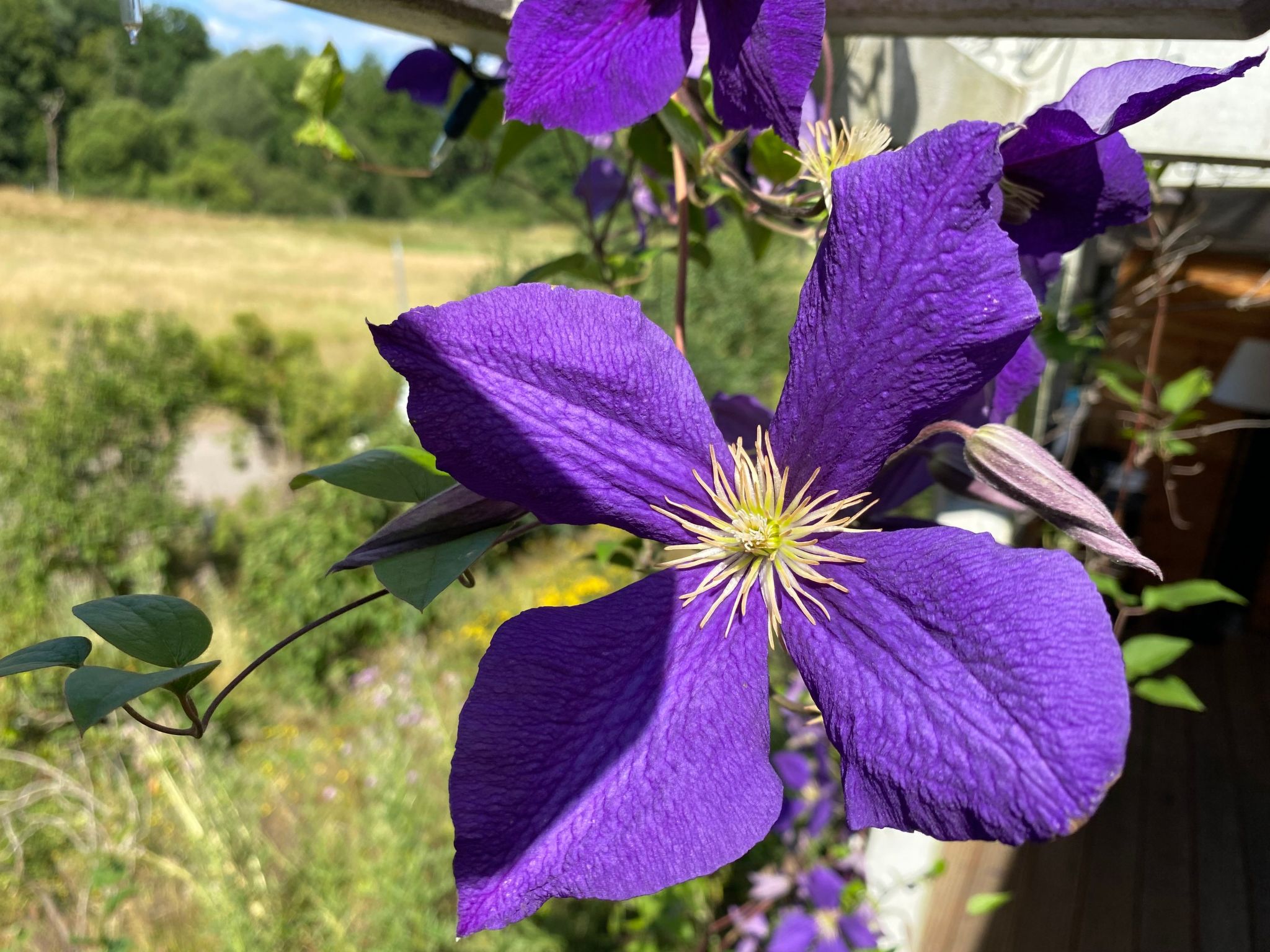 Eifelcottage Rotkehlchen mitten in der Natur-Drinnen
