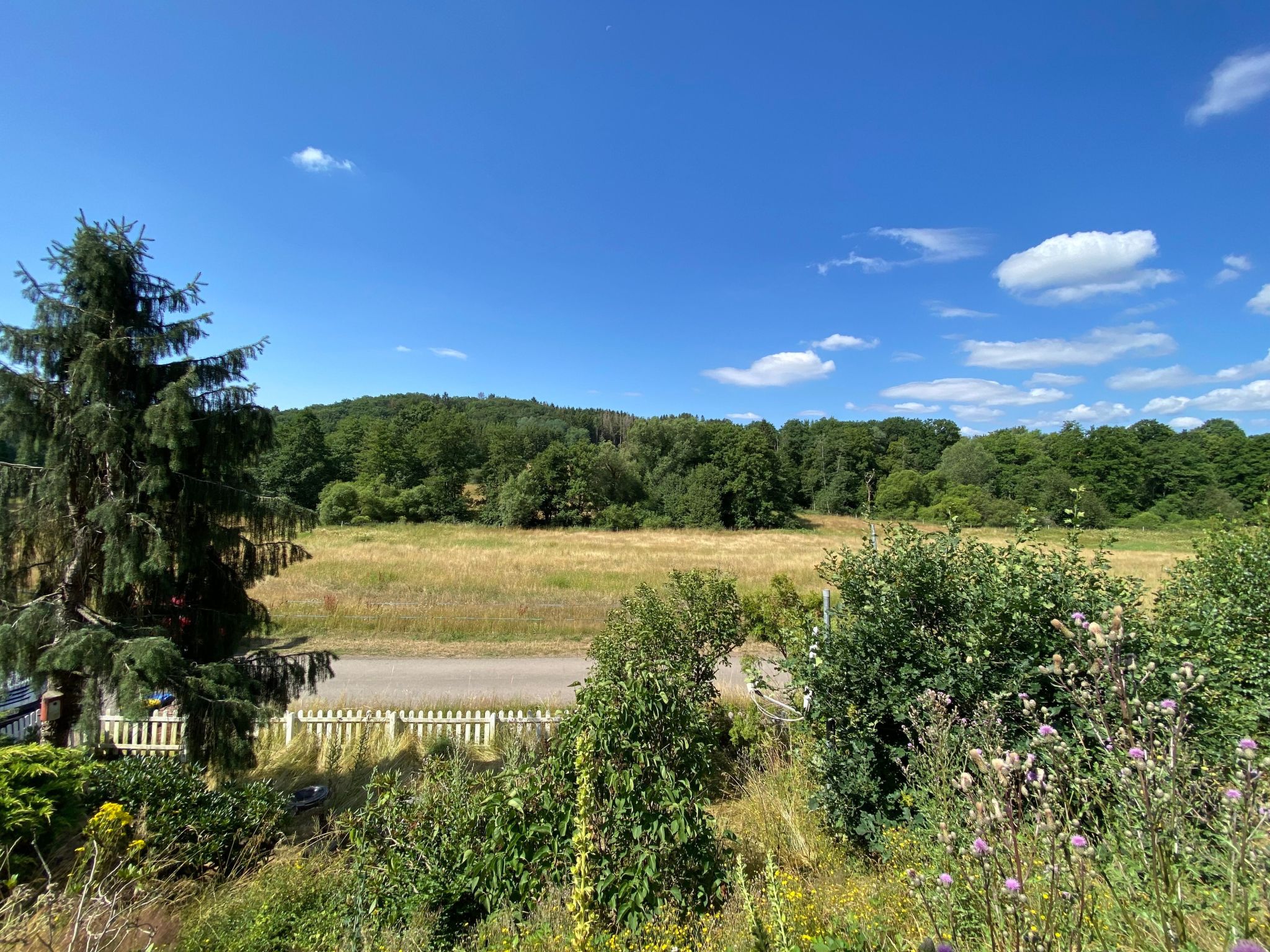 Eifelcottage Rotkehlchen mitten in der Natur-Drinnen