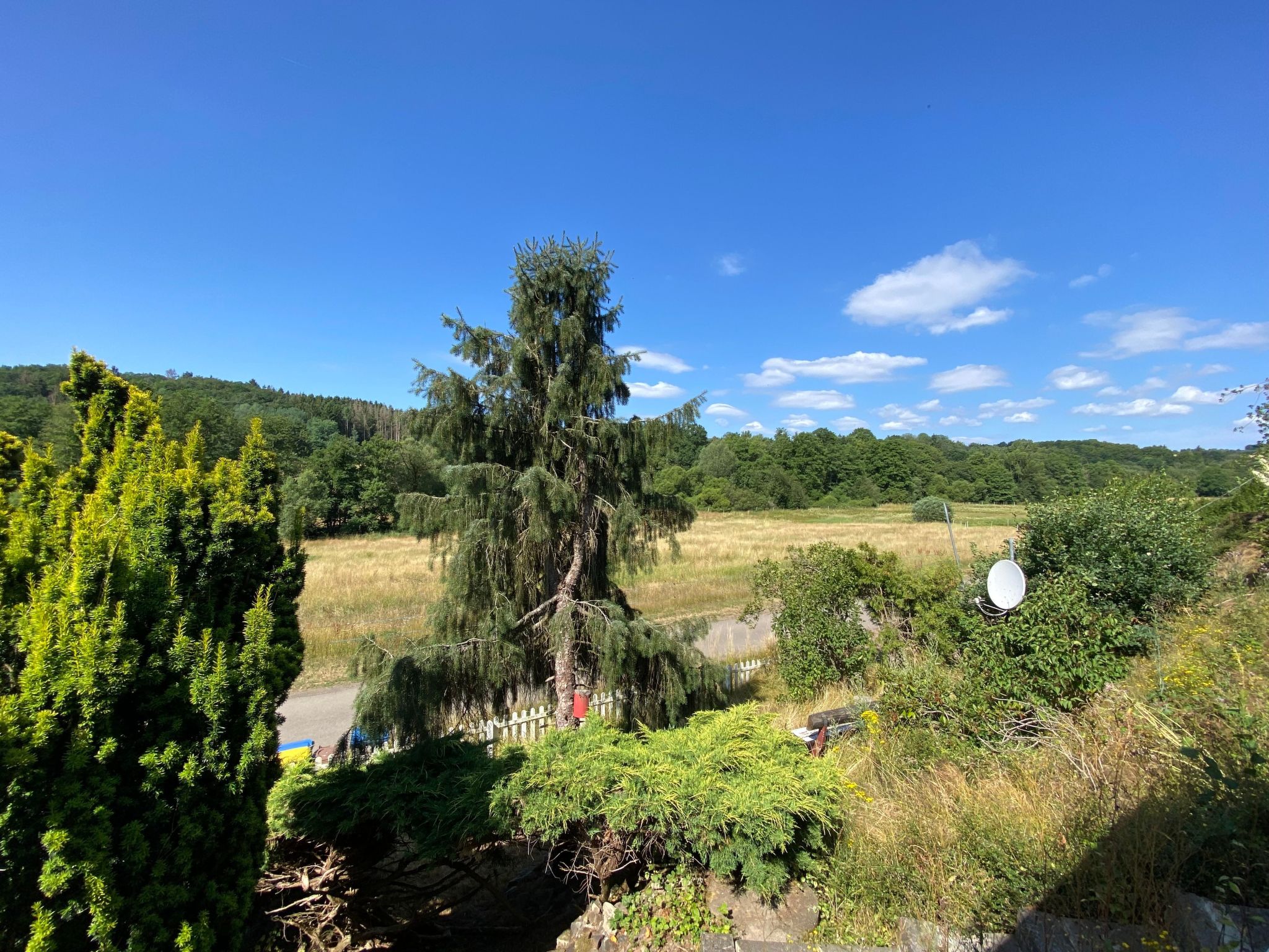 Eifelcottage Rotkehlchen mitten in der Natur-Drinnen