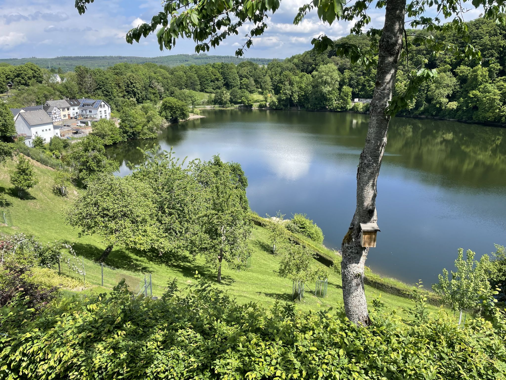 Eifelcottage Rehwiese