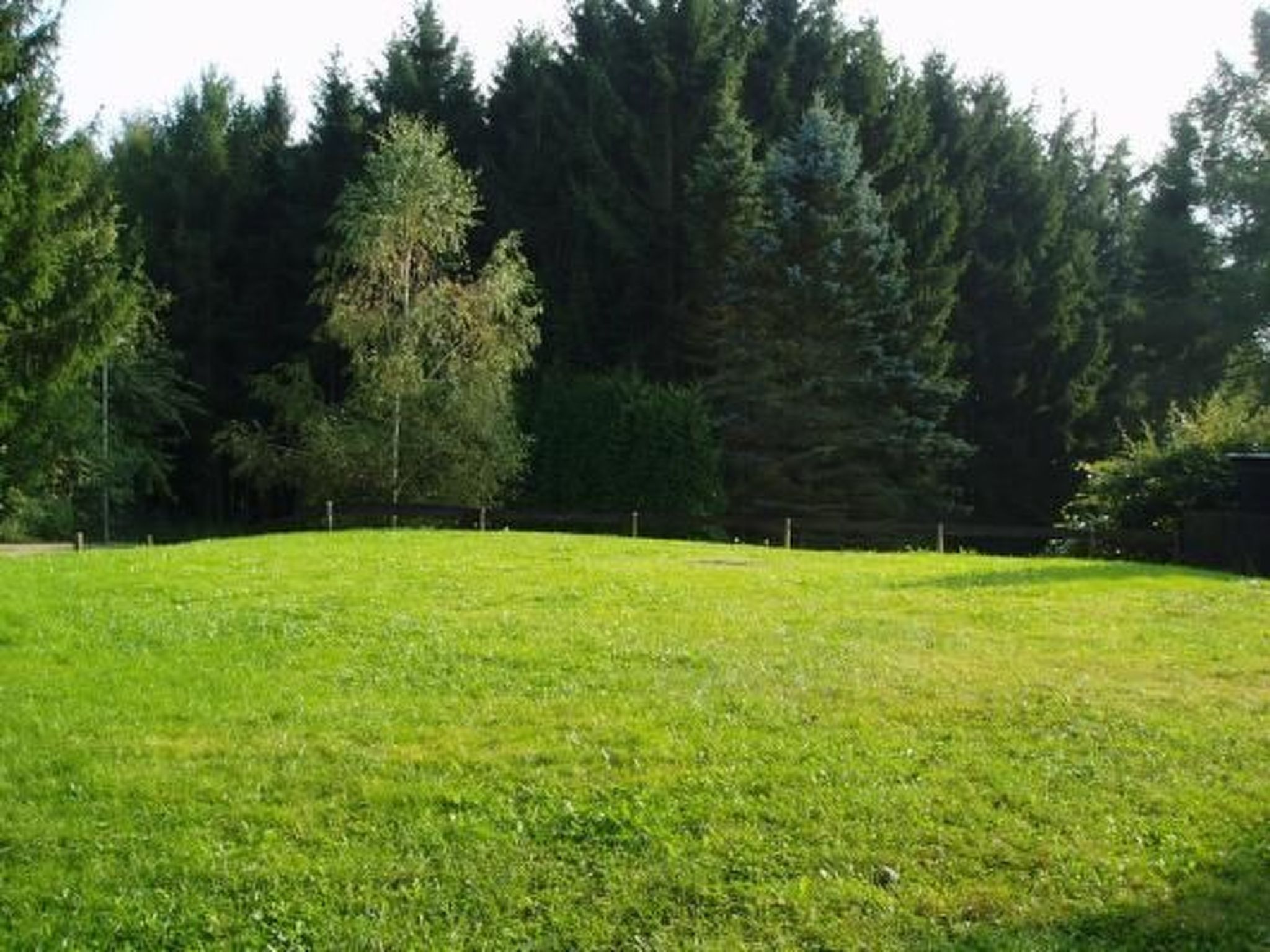 Eifelcottage Rehwiese-Dedans