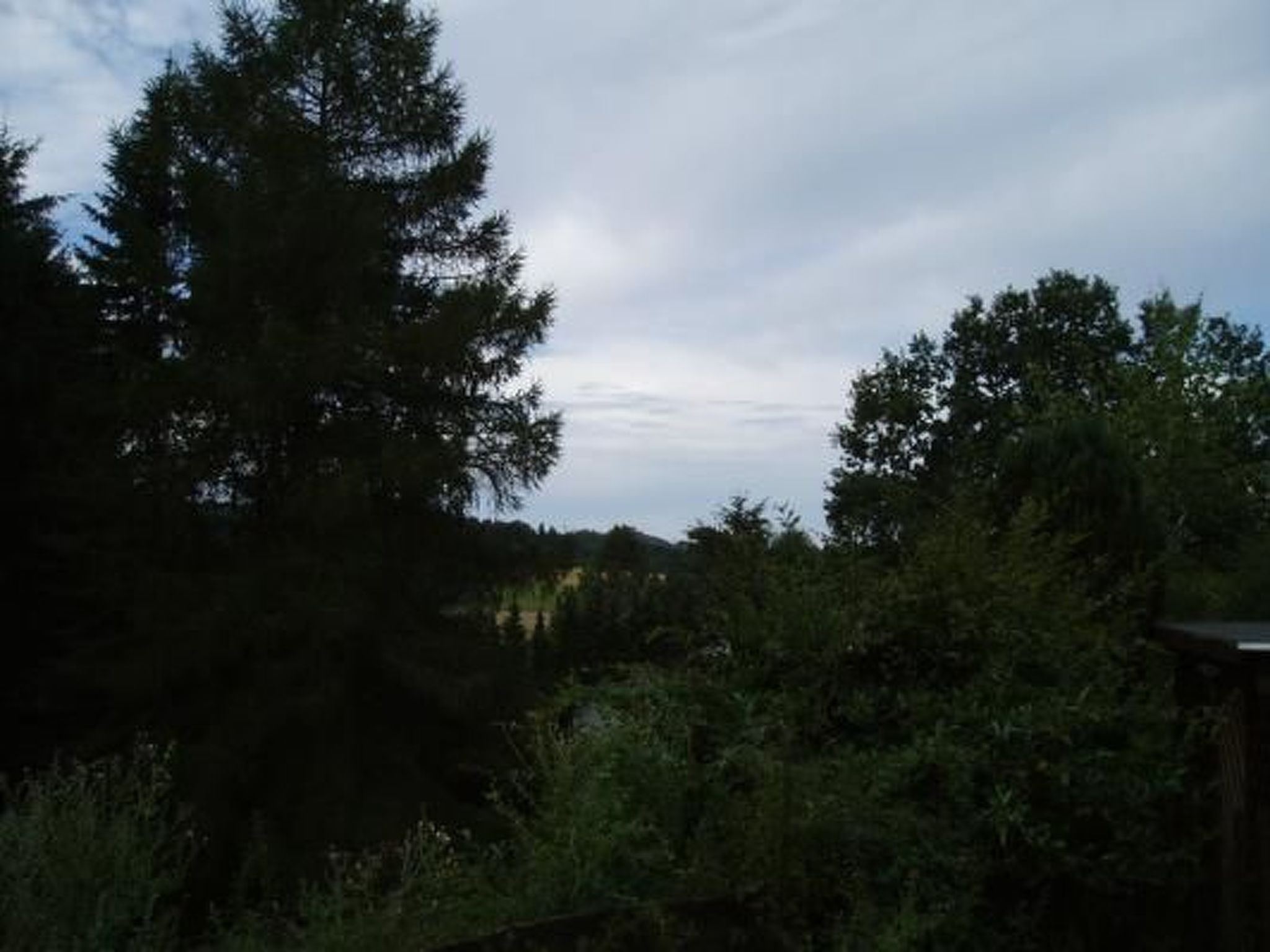 Eifelcottage Rehwiese-Dedans