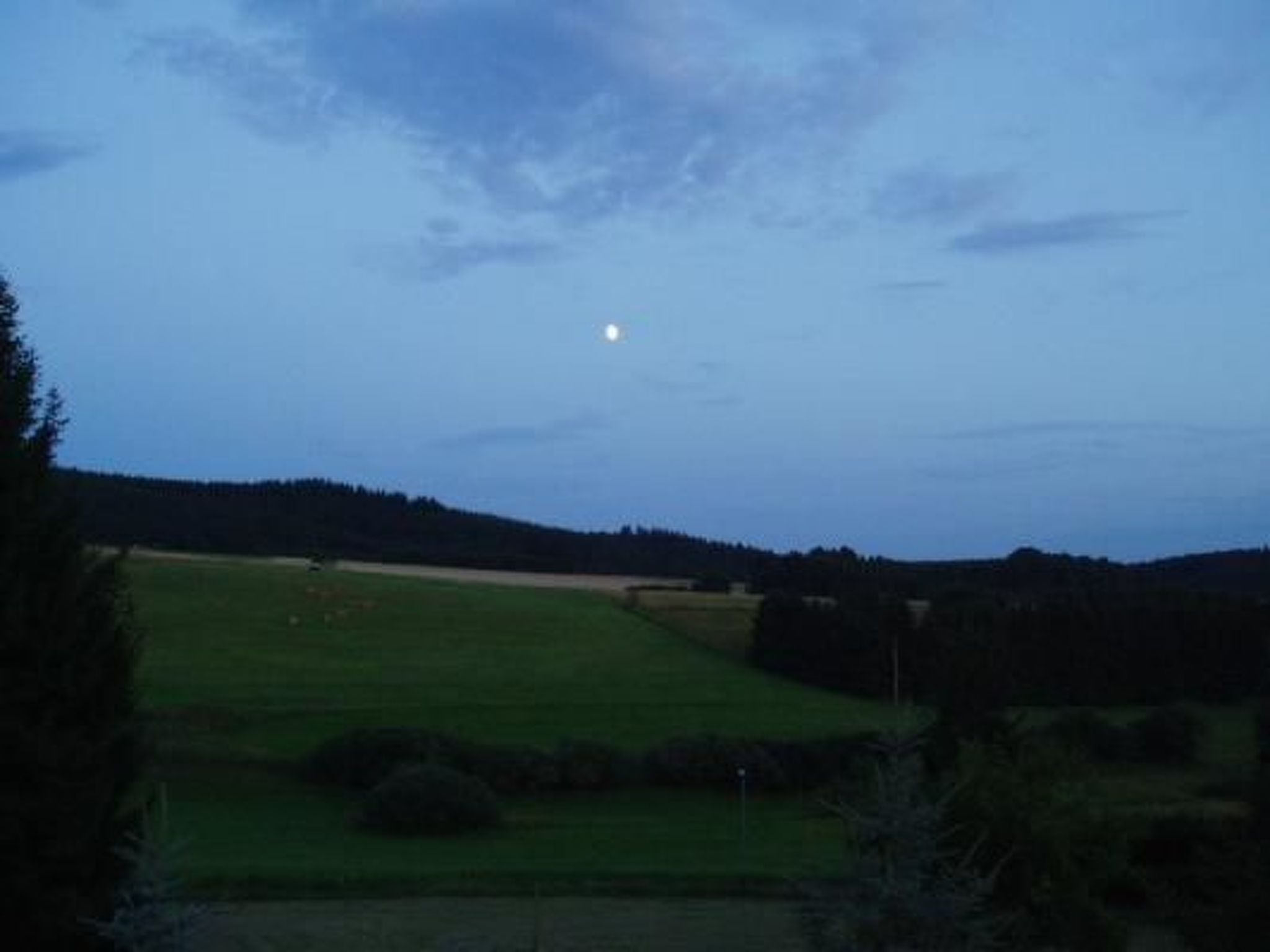 Eifelcottage Rehwiese-Dedans