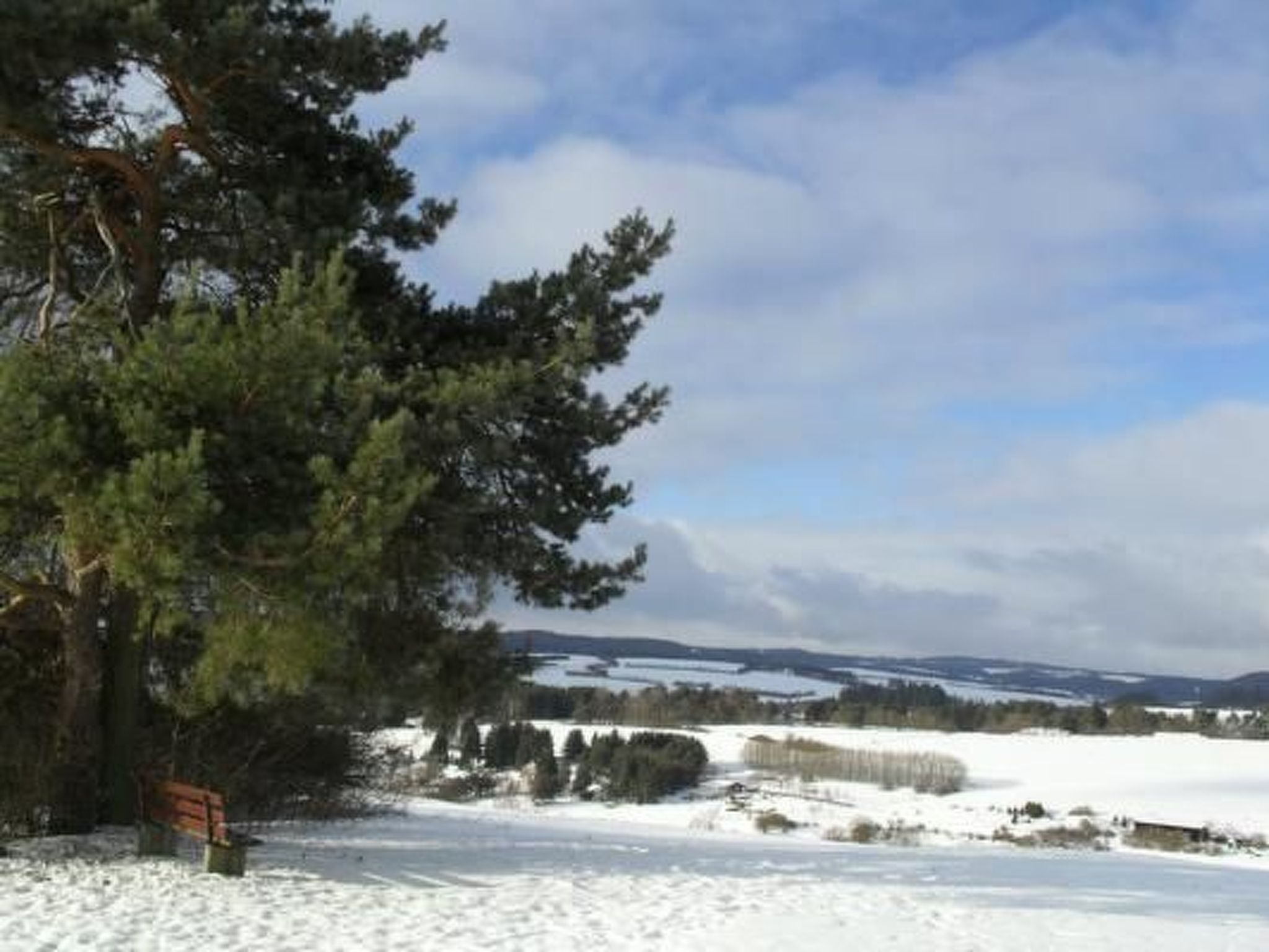 Eifelcottage Rehwiese-Dedans