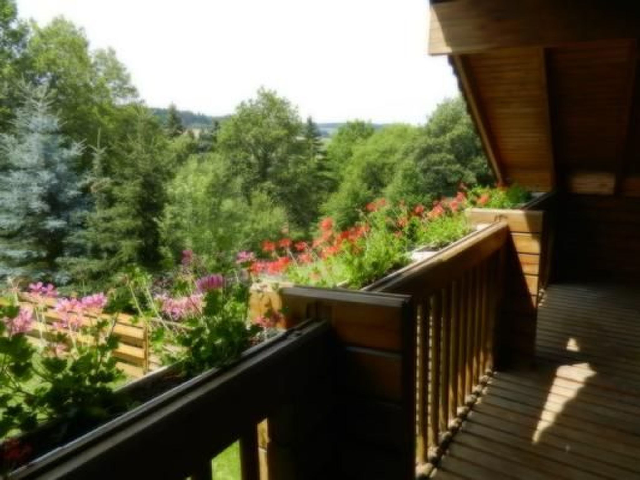 Eifelcottage Wildvogel-Binnen