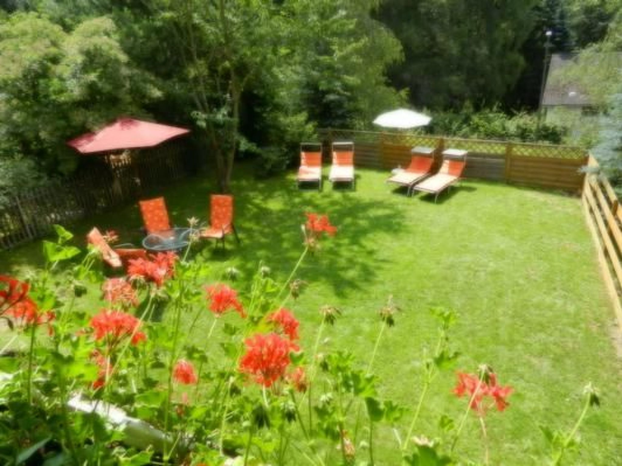 Eifelcottage Wildvogel-Binnen