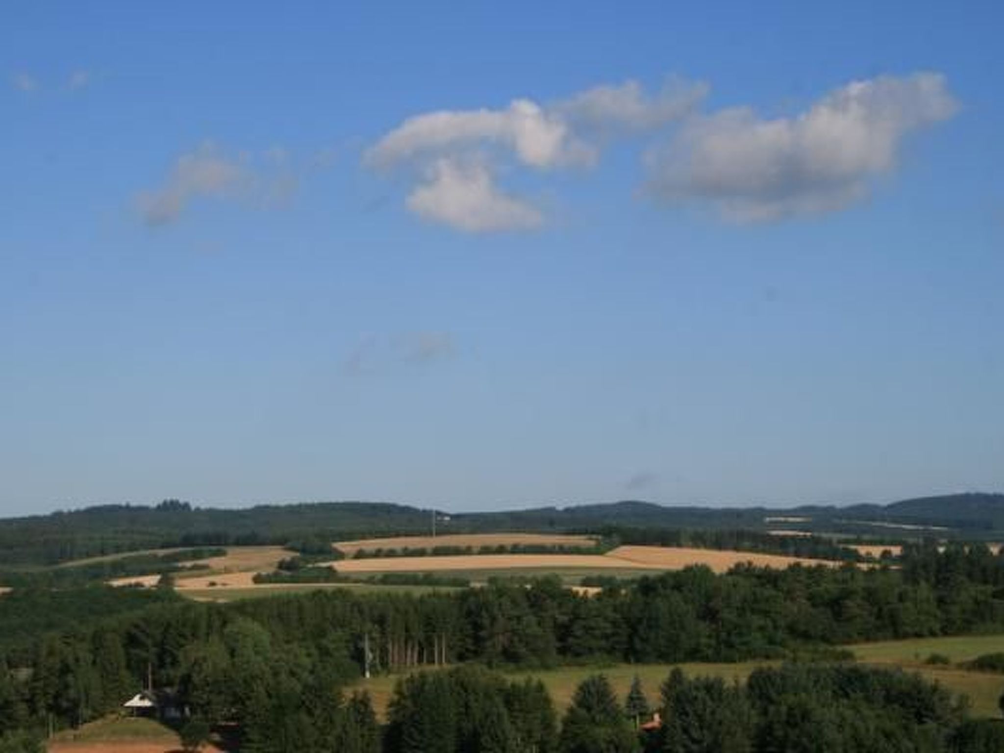Eifelcottage Wildvogel-Binnen