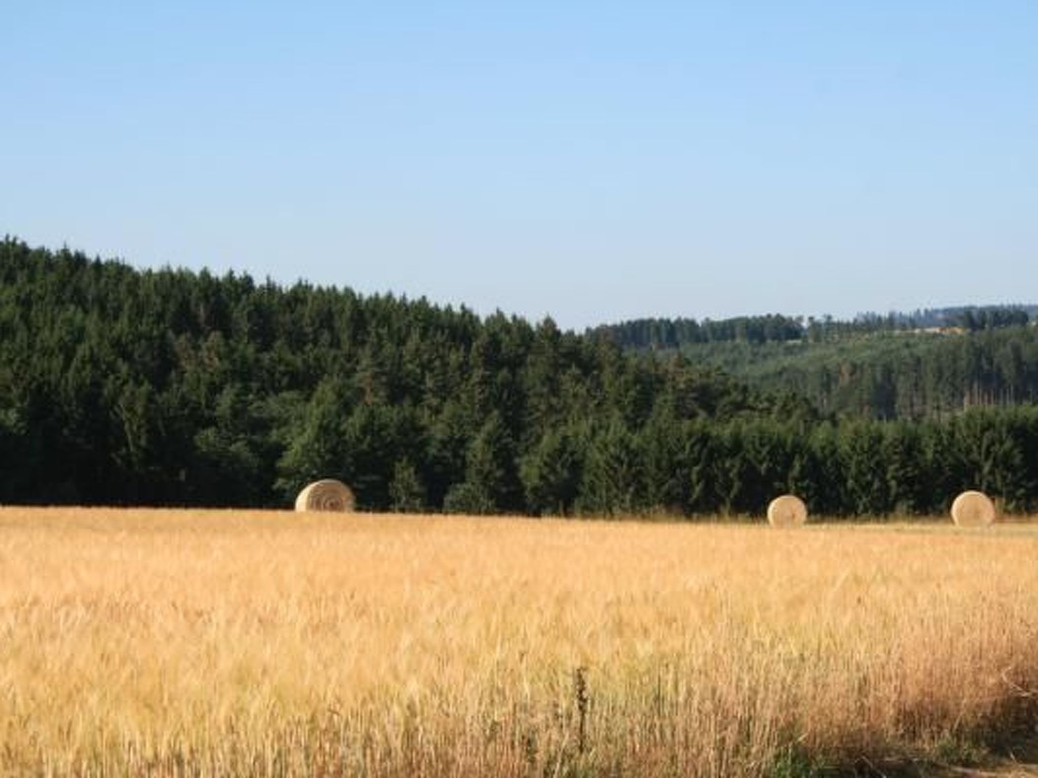 Eifelcottage Wildvogel-Binnen