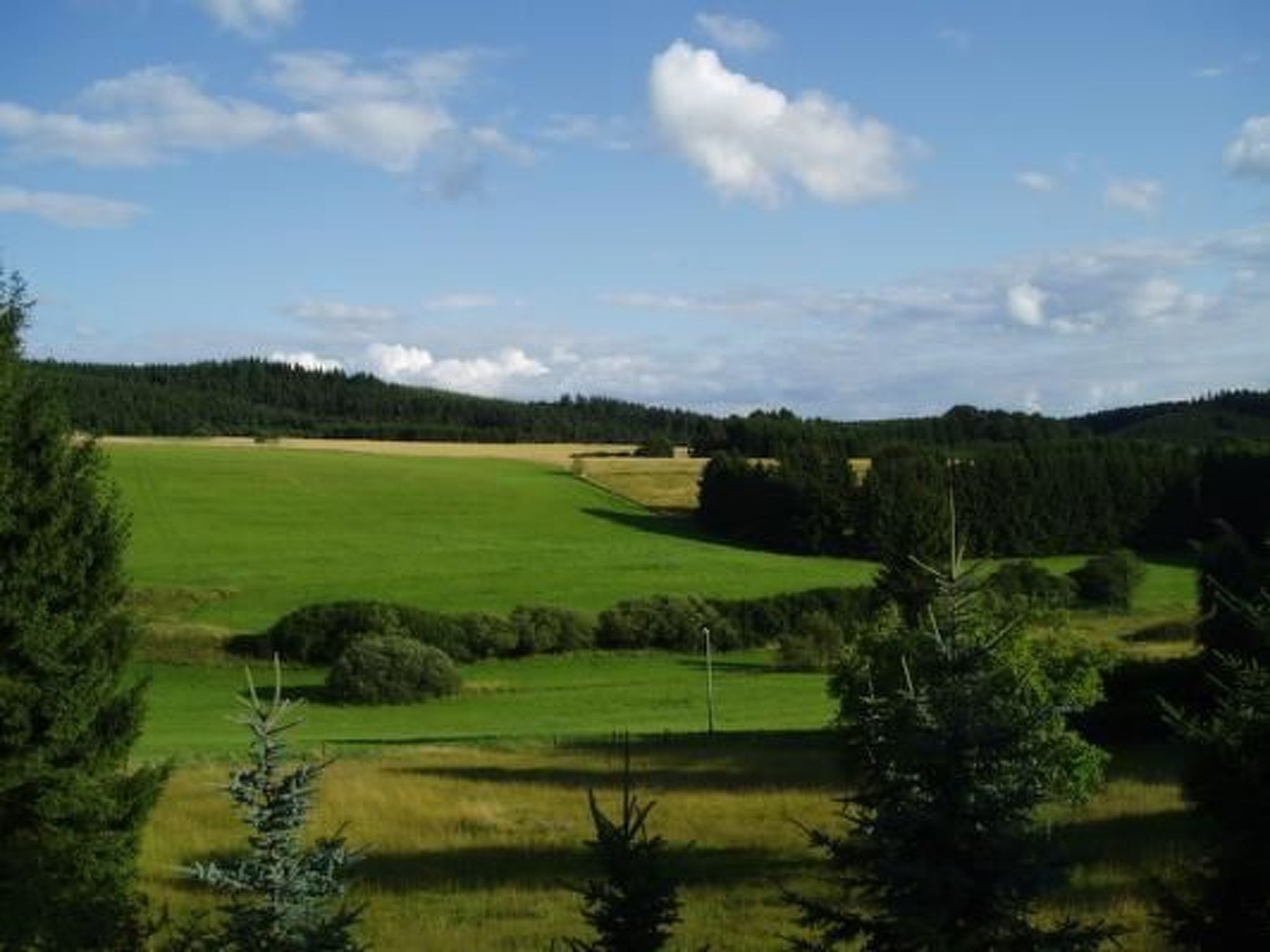 Eifelcottage Wildvogel-Binnen