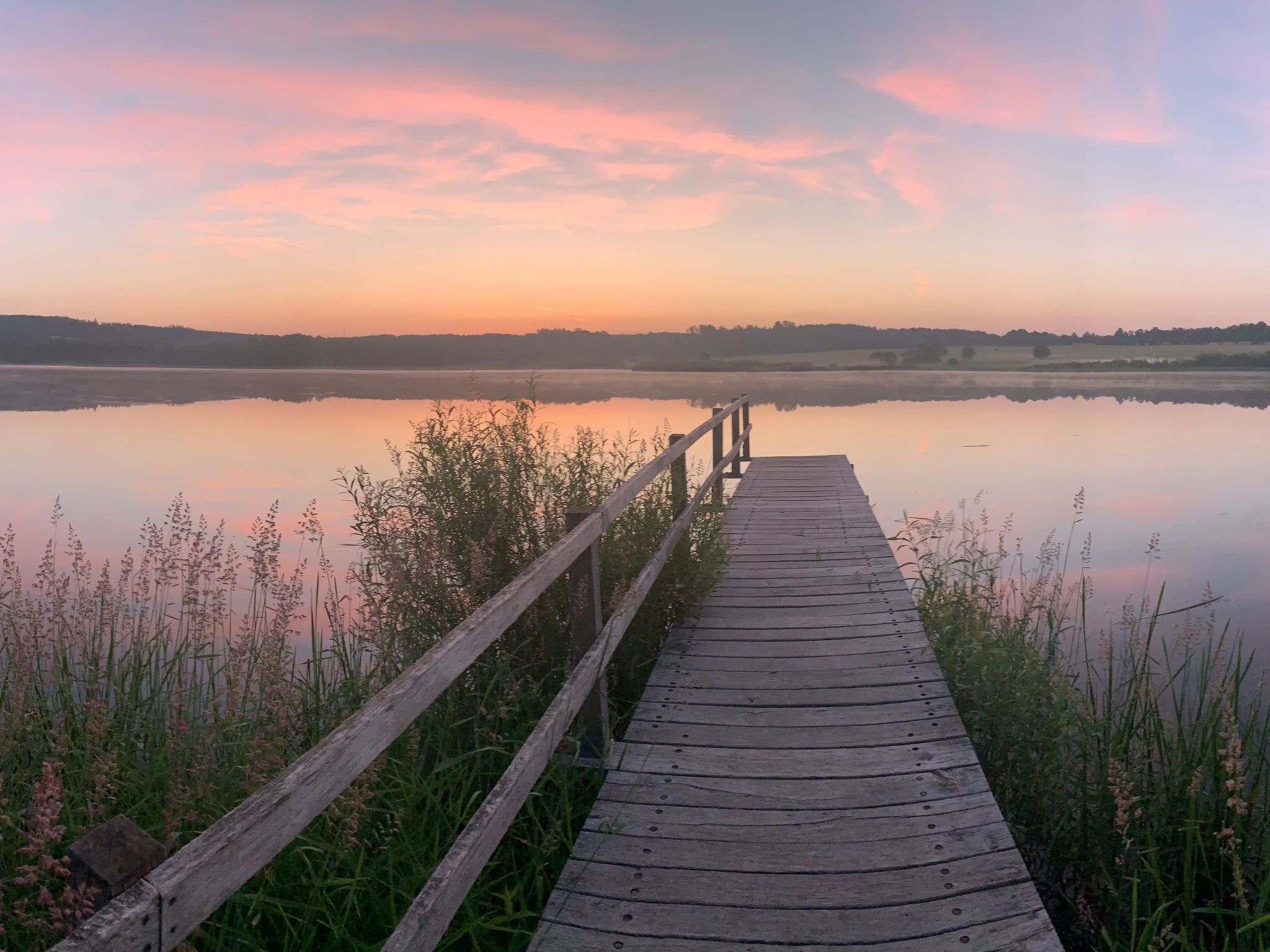 In Ulmen mit Grill-Image-tags.info