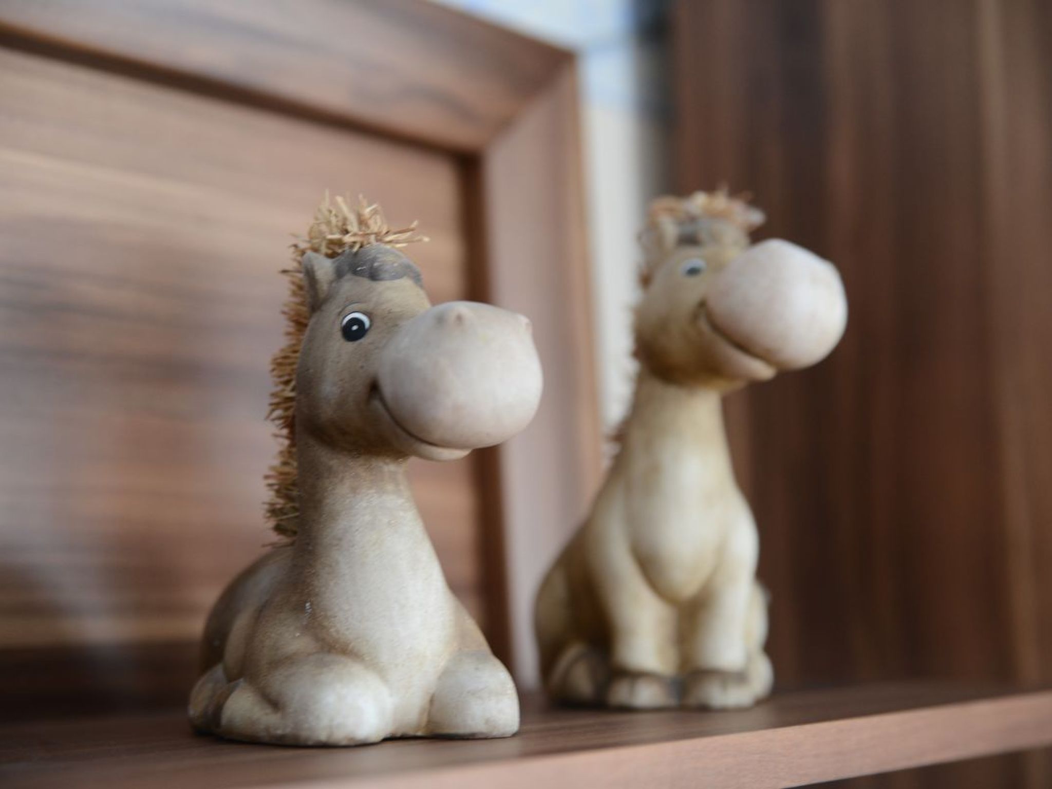 FeWo Haus André-Inside