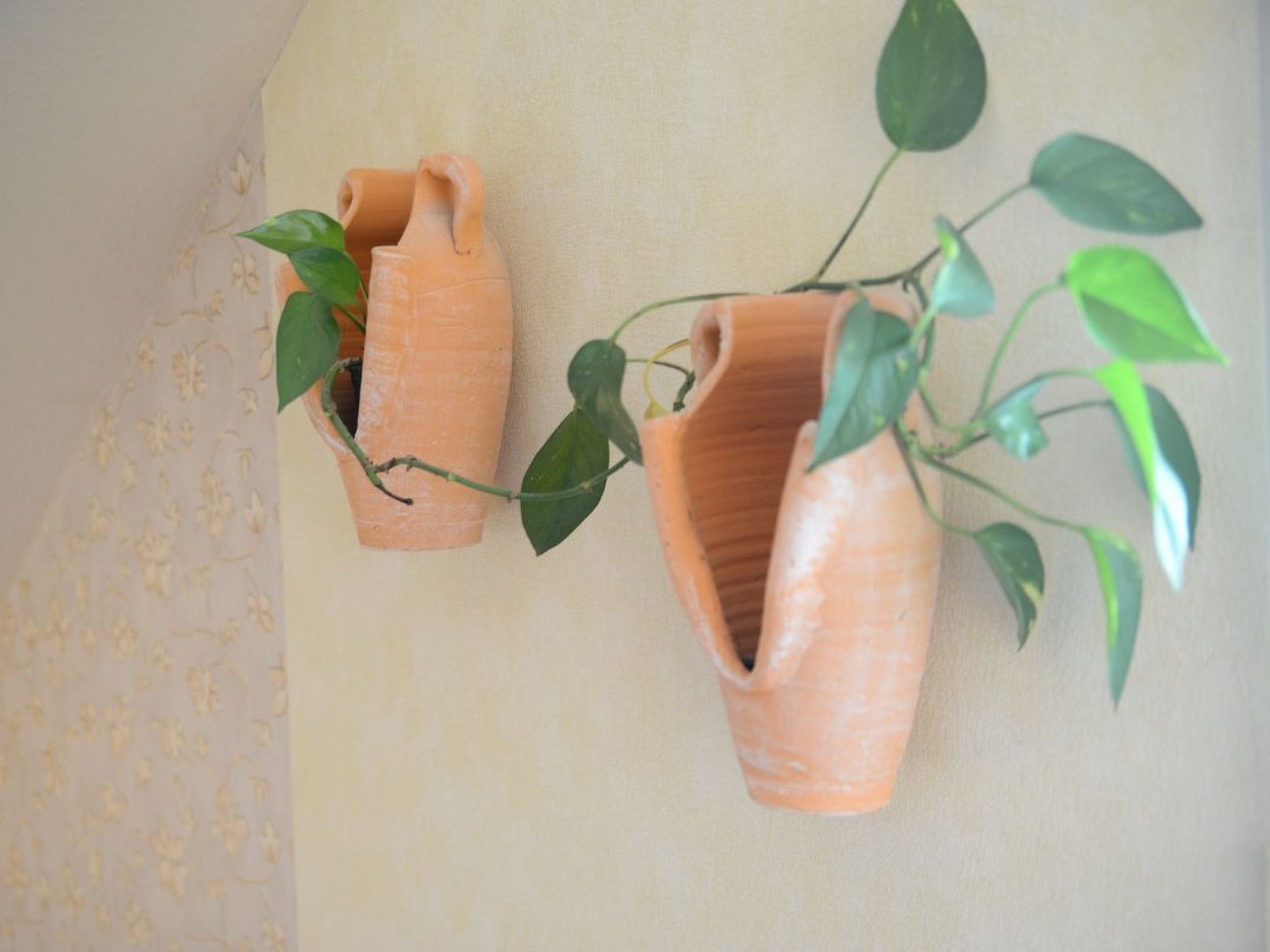 FeWo Haus André-Inside