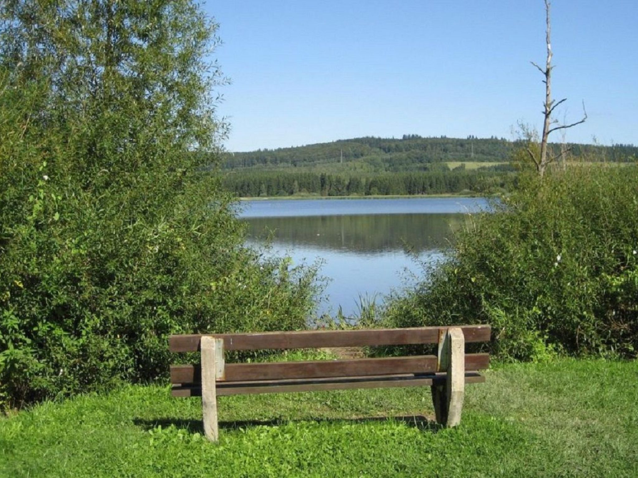 In der Vulkaneifel-Drinnen