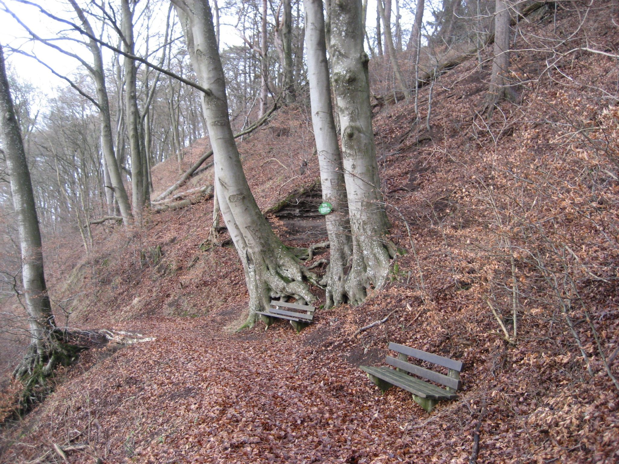 In der Vulkaneifel-Drinnen