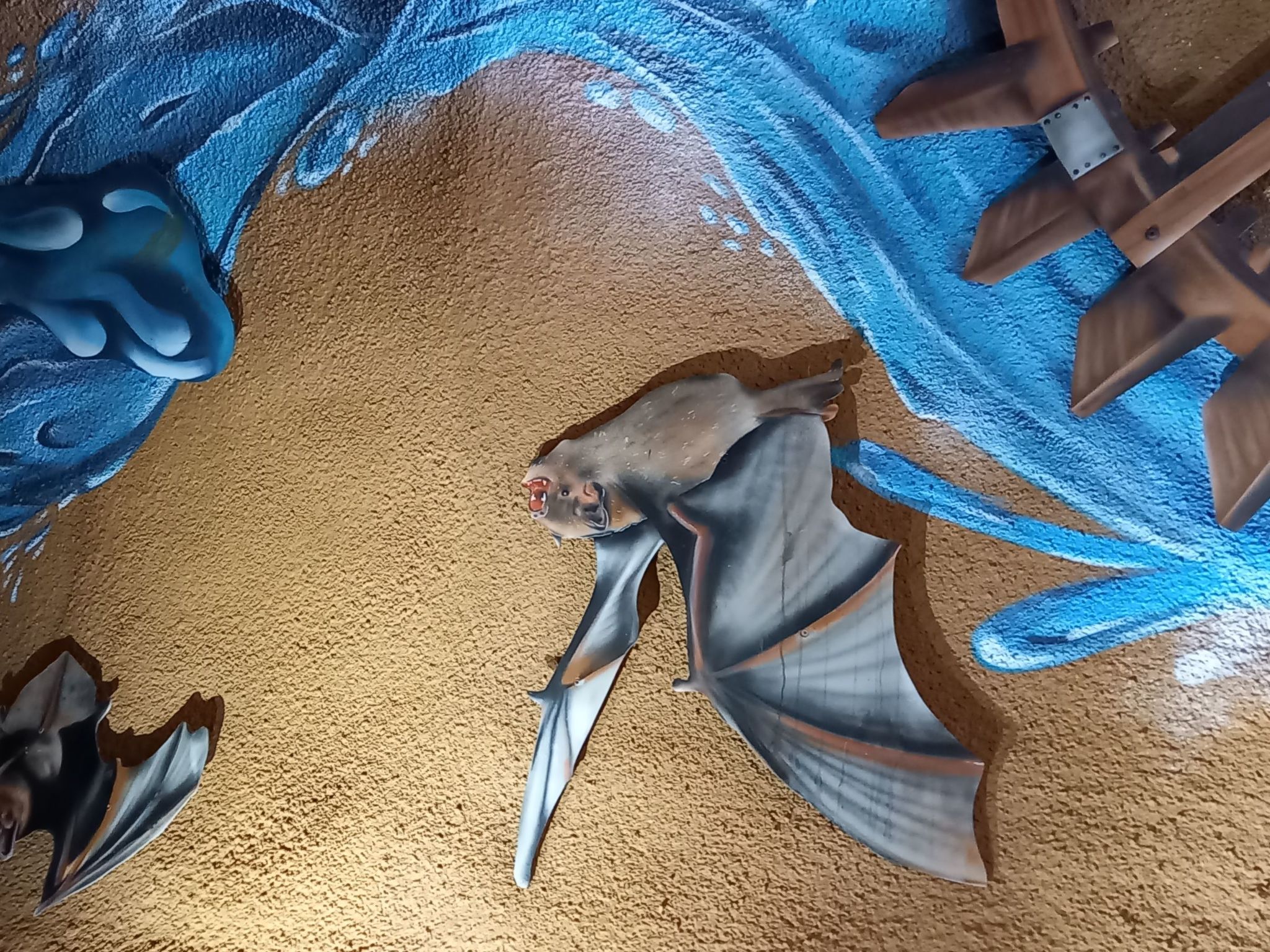 In der Vulkaneifel-Drinnen