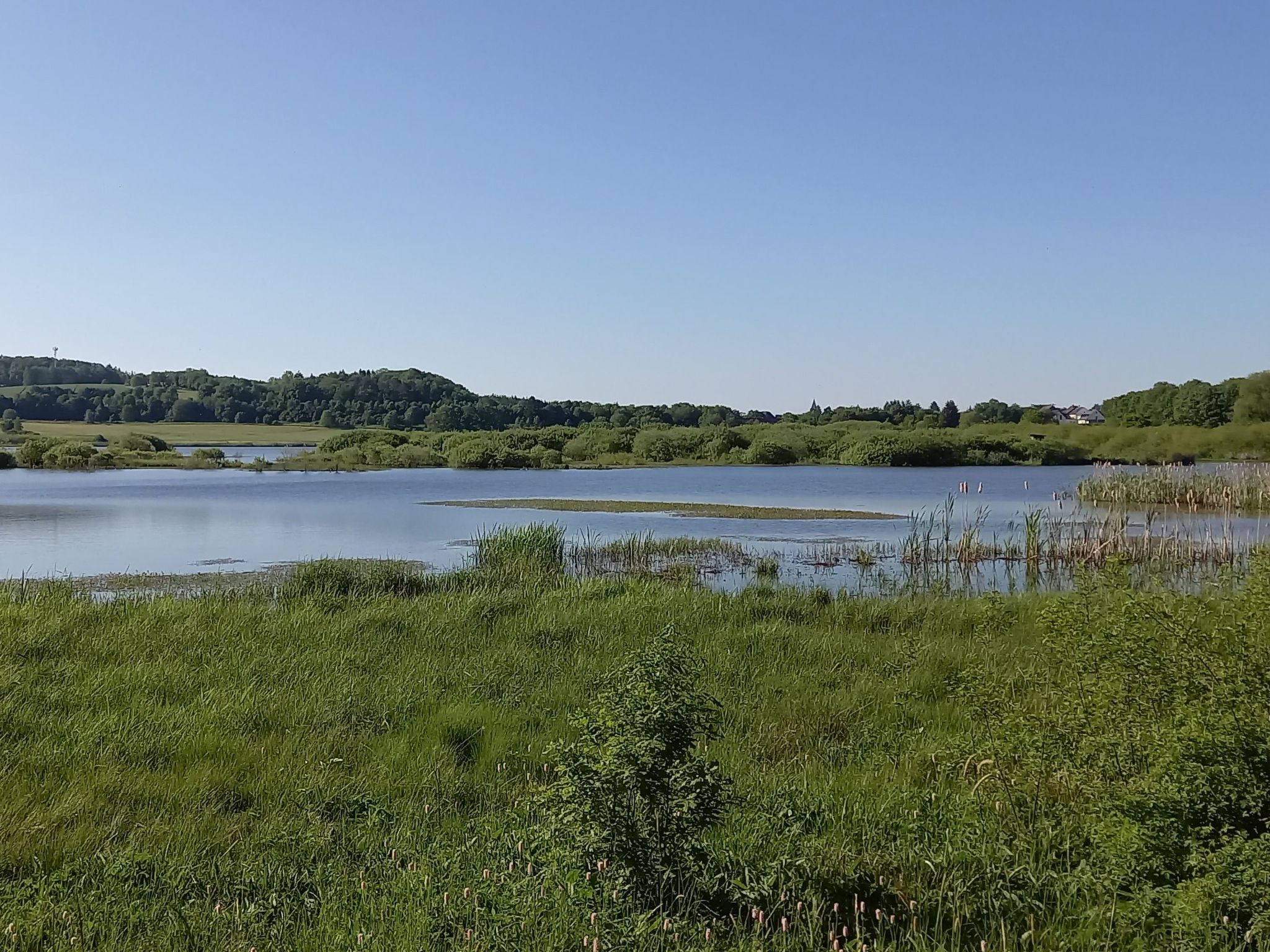 In der Vulkaneifel-Drinnen