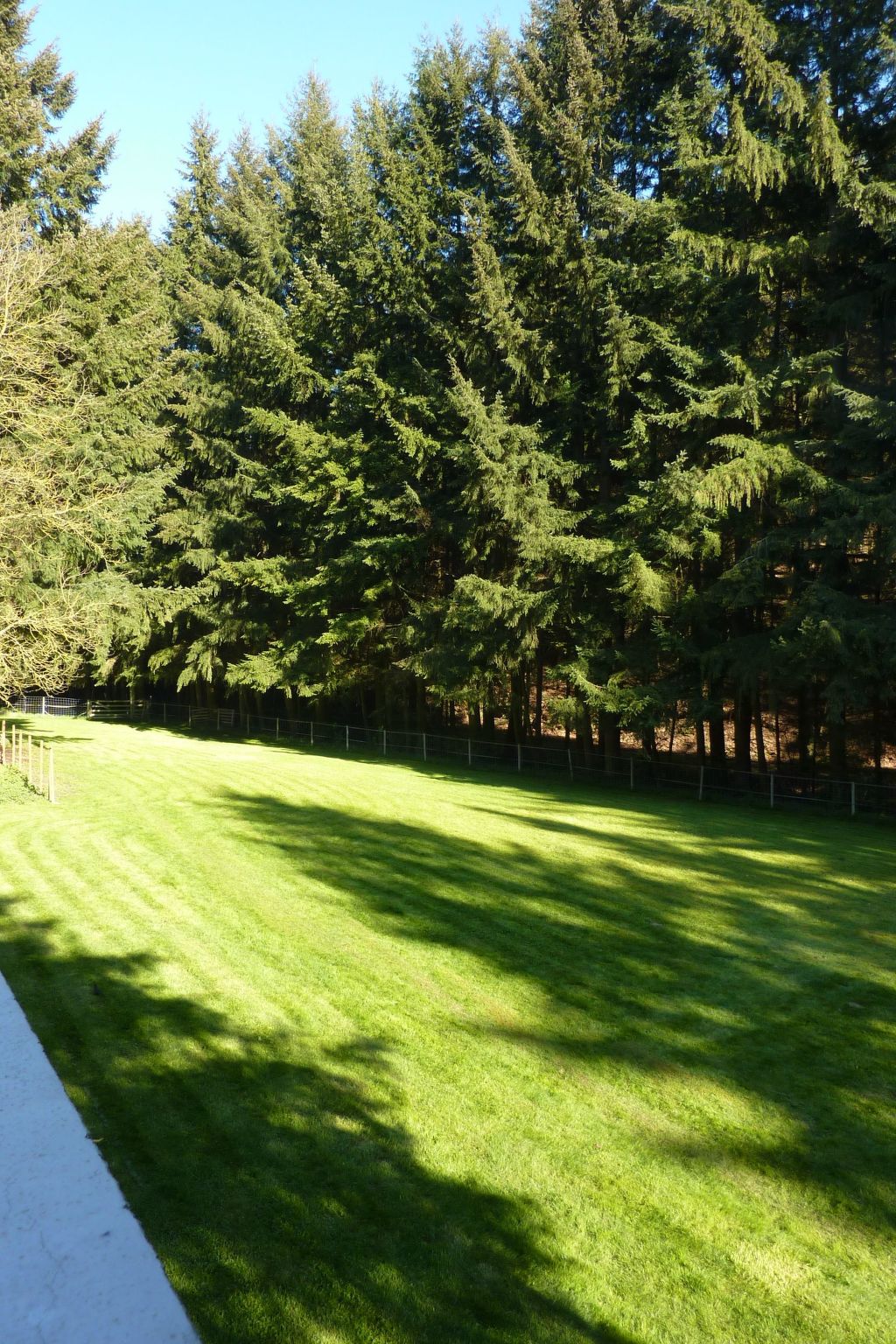Holz-Blockhaus für vier Personen mit Terrasse-Binnen