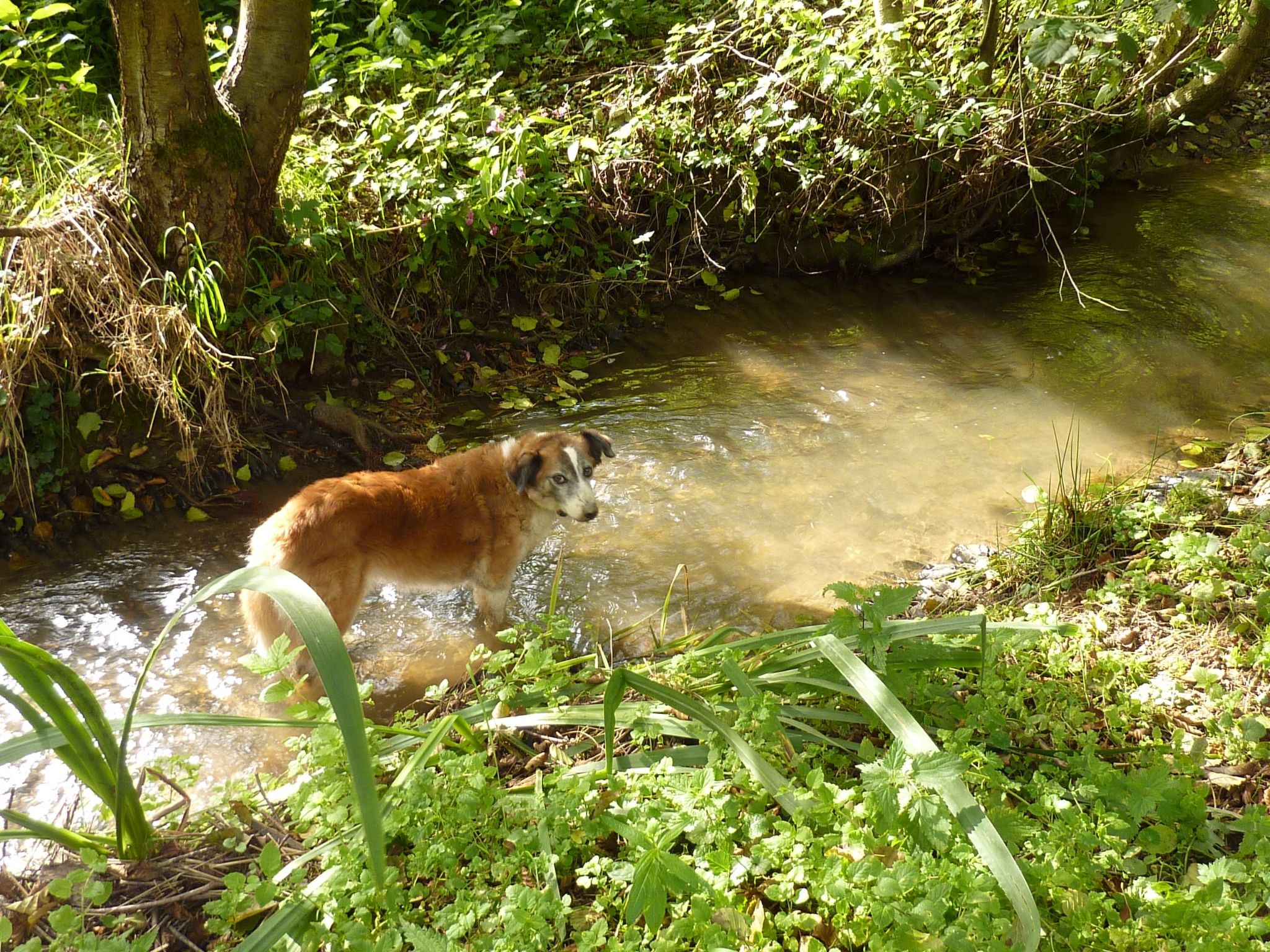Holz-Blockhaus für vier Personen mit Terrasse-Binnen