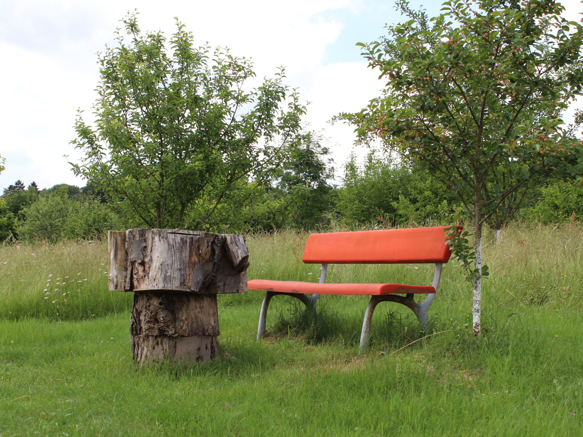 Almyssen-Image-tags.info