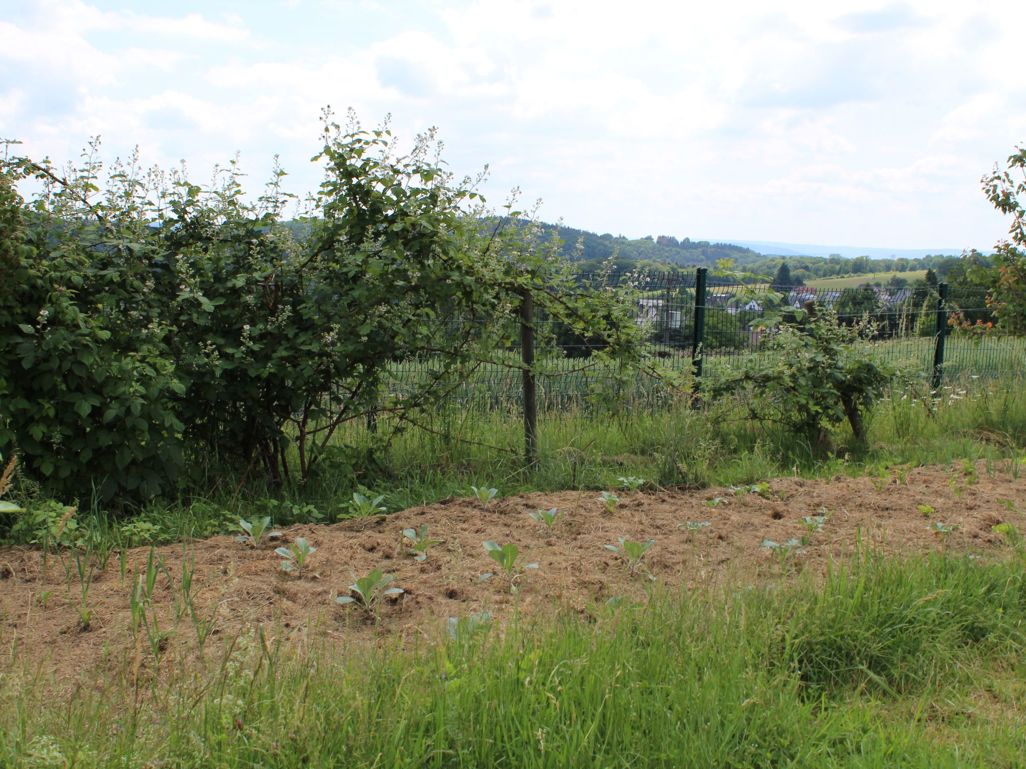 Almyssen-Image-tags.info