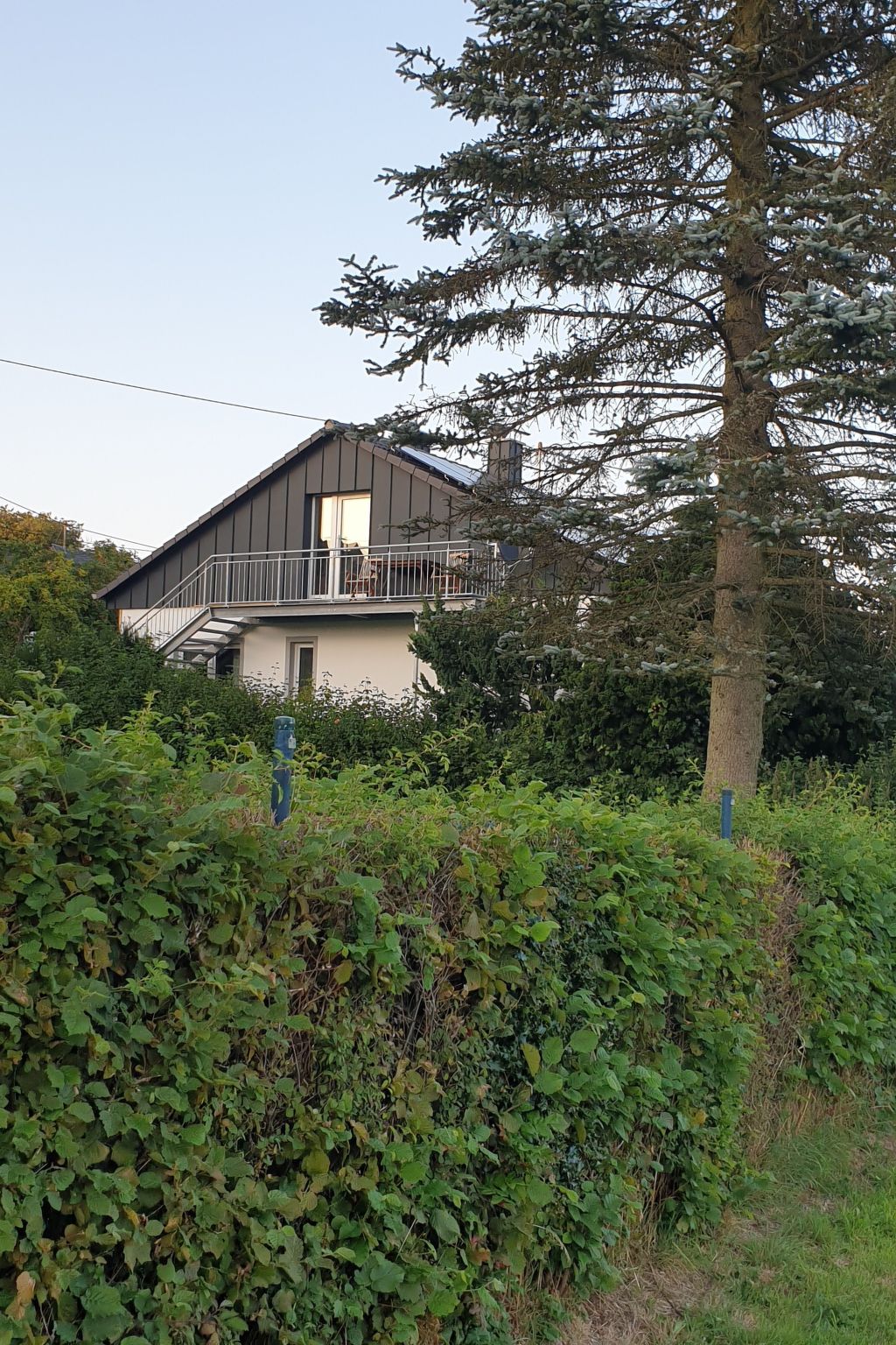 Renovierte Wohnung