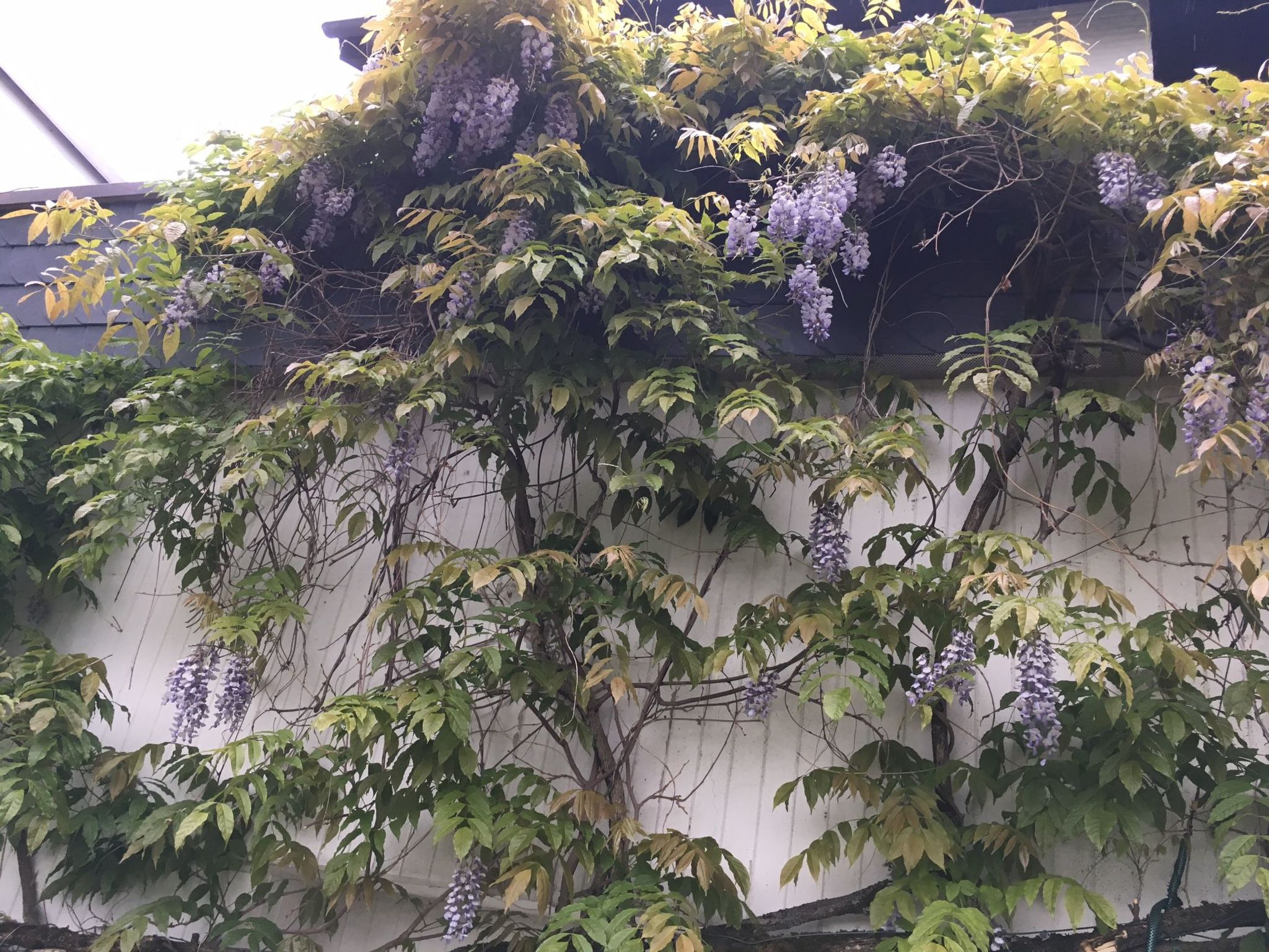 Rheintalblick 2-Image-tags.info