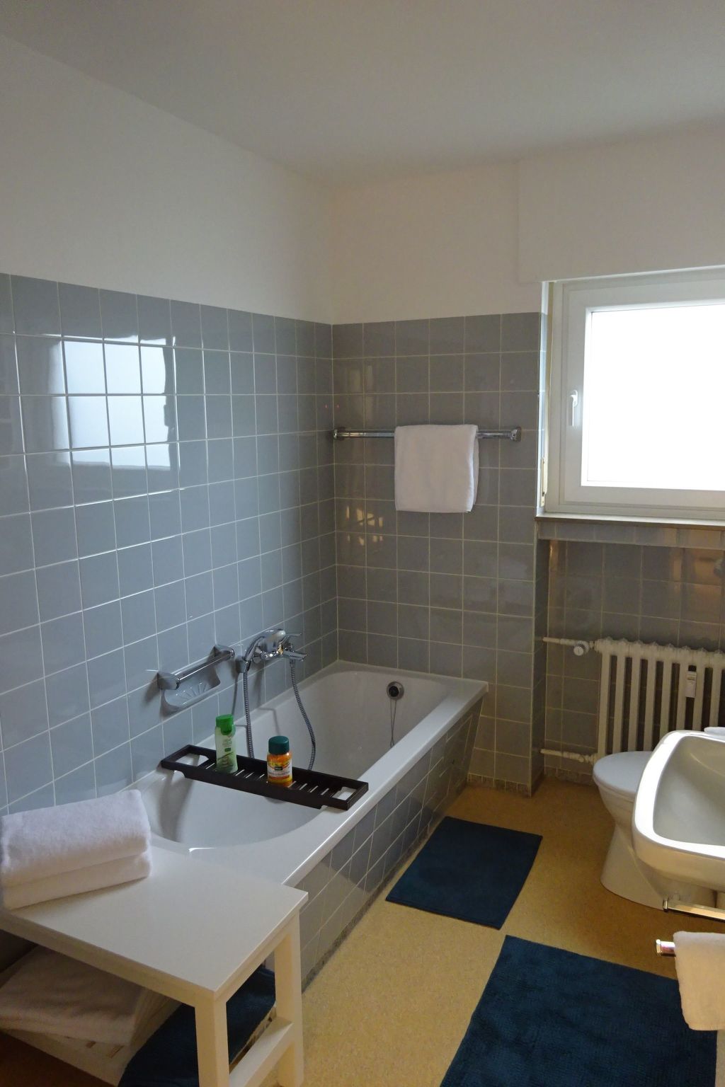 Großzügige Wohnung mit Terrasse und Rheintalblick-Image-tags.info