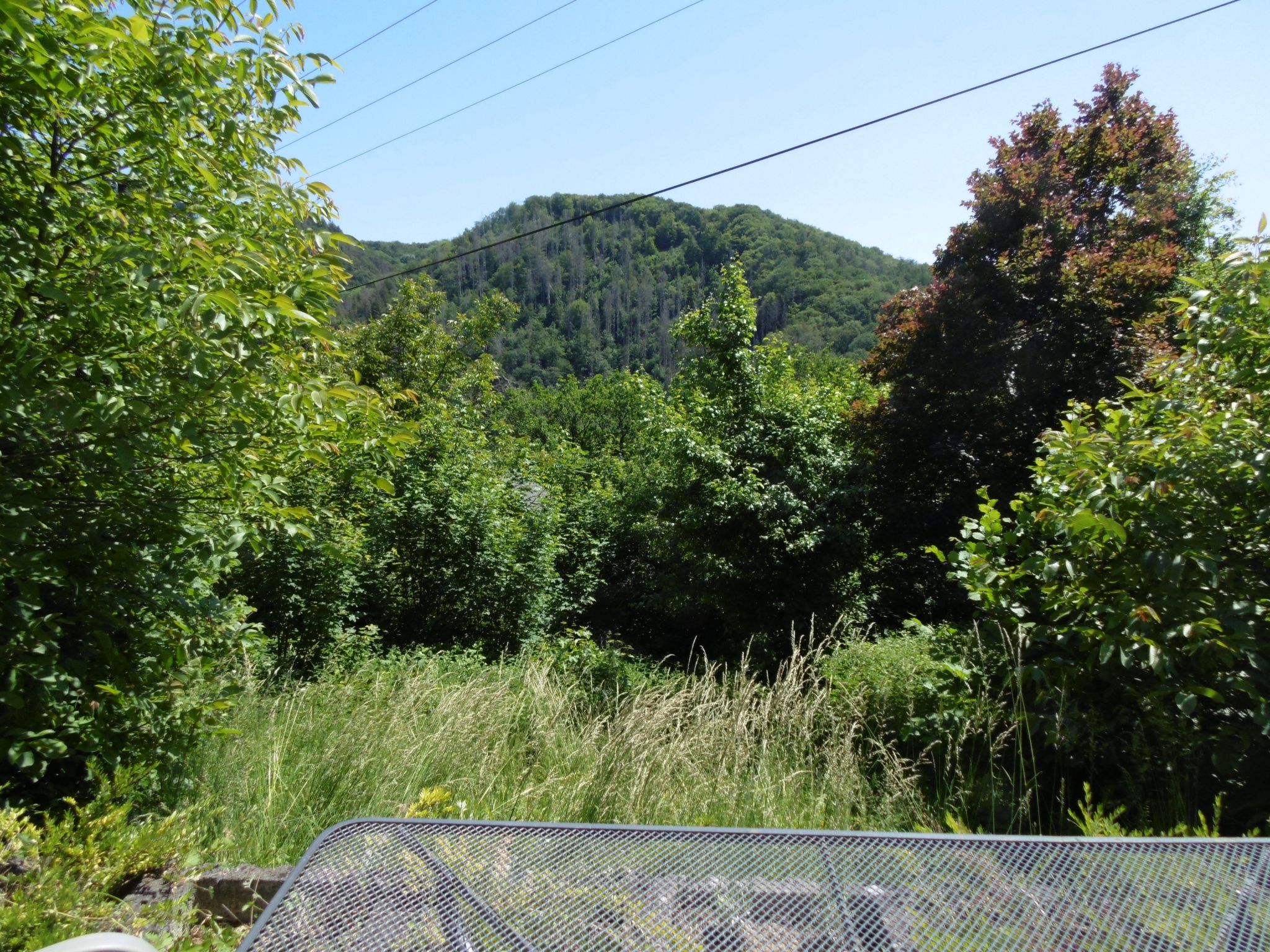 In Waldbreitbach mit Whirlpool-Drinnen
