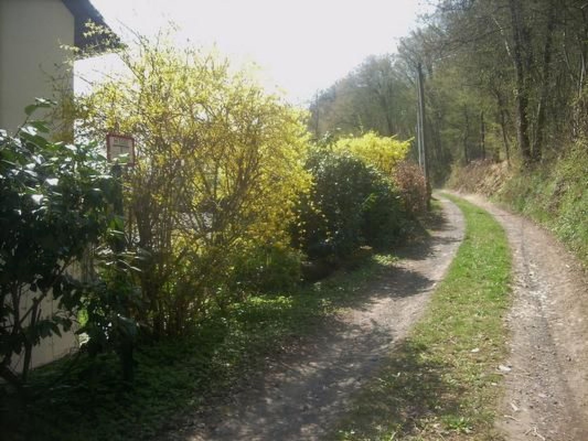 In Waldbreitbach mit Whirlpool-Drinnen