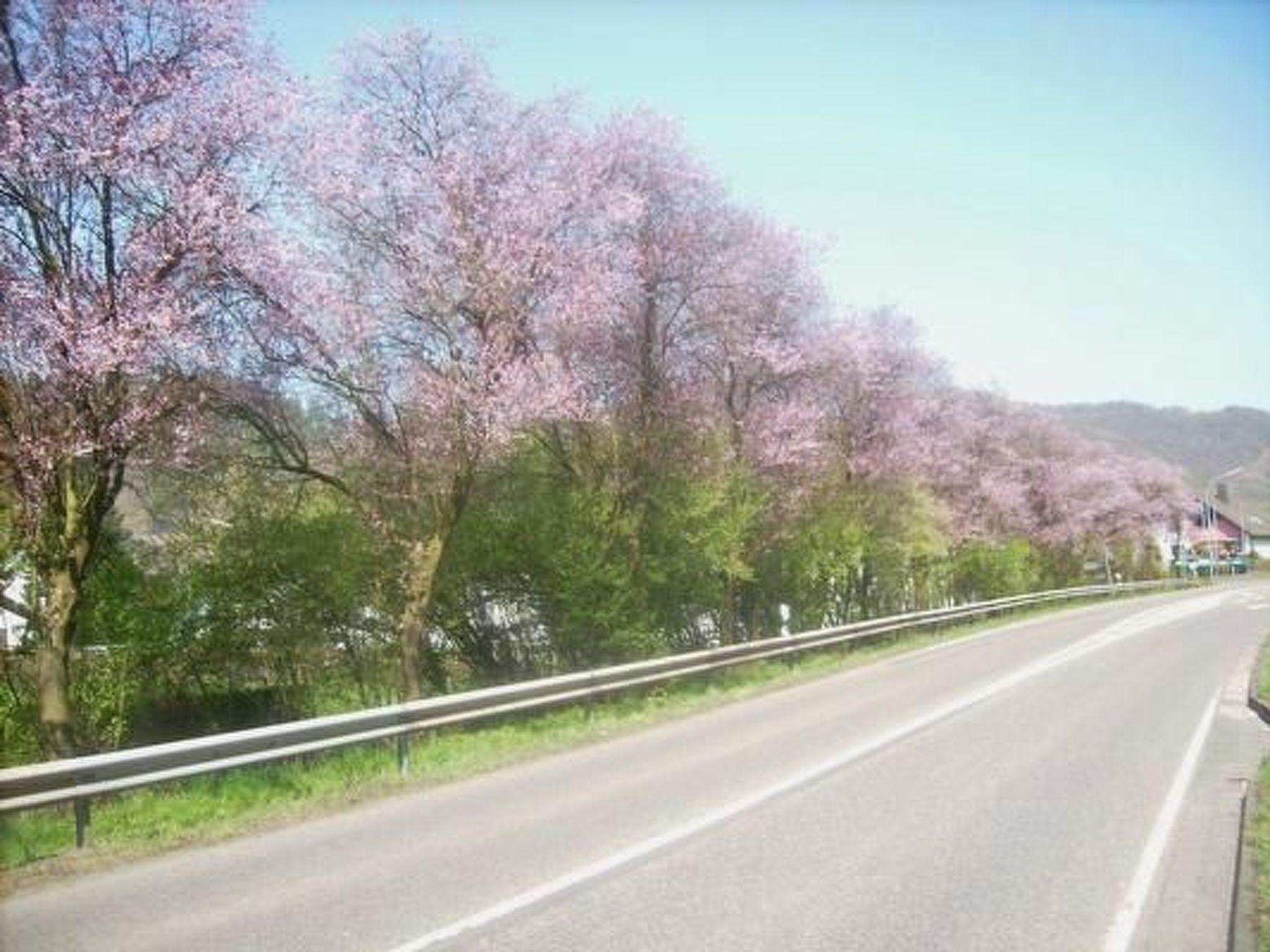 In Waldbreitbach mit Whirlpool-Drinnen